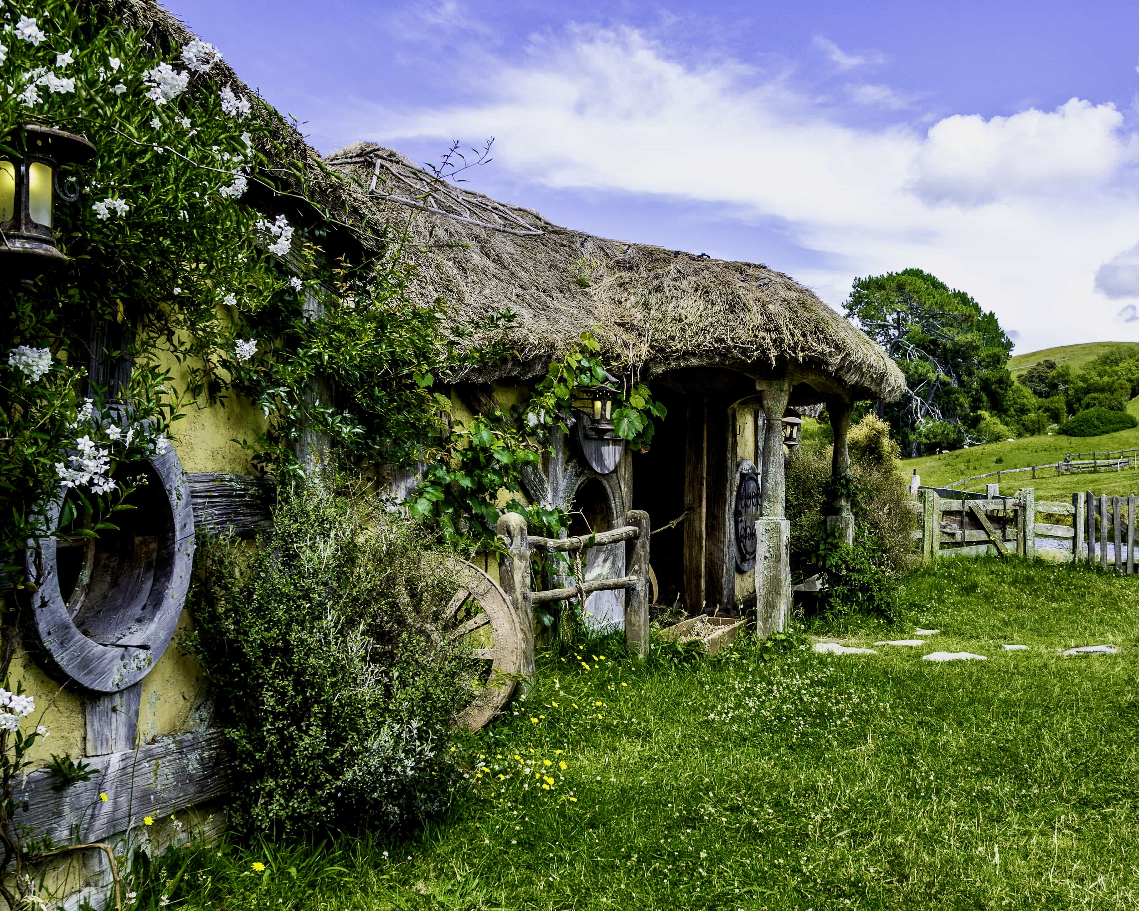a rustic cottage overgrown with green plants during day