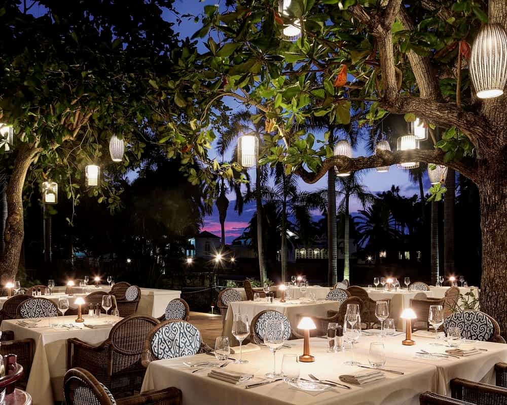 nighttime lit up trees above dining tables