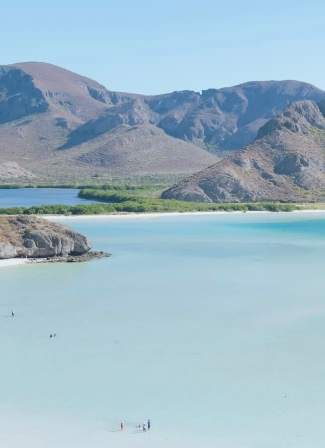 La Paz, Baja California Sur: Espíritu Santo & Whale Shark Encounters curated by Paula Salas