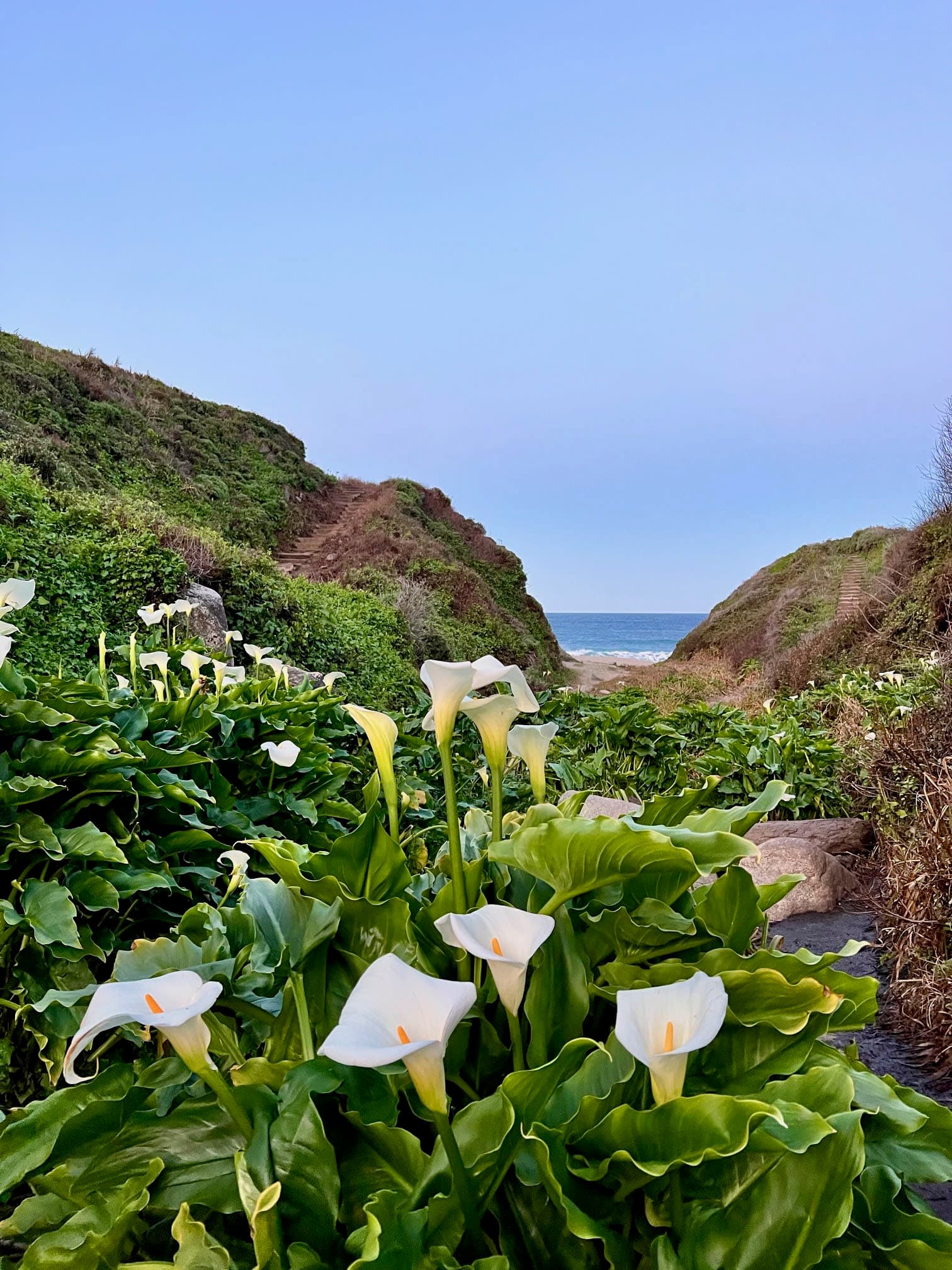 Tour of California's Central Coast: The Perfect Road Trip Itinerary curated by Liesel Richardson