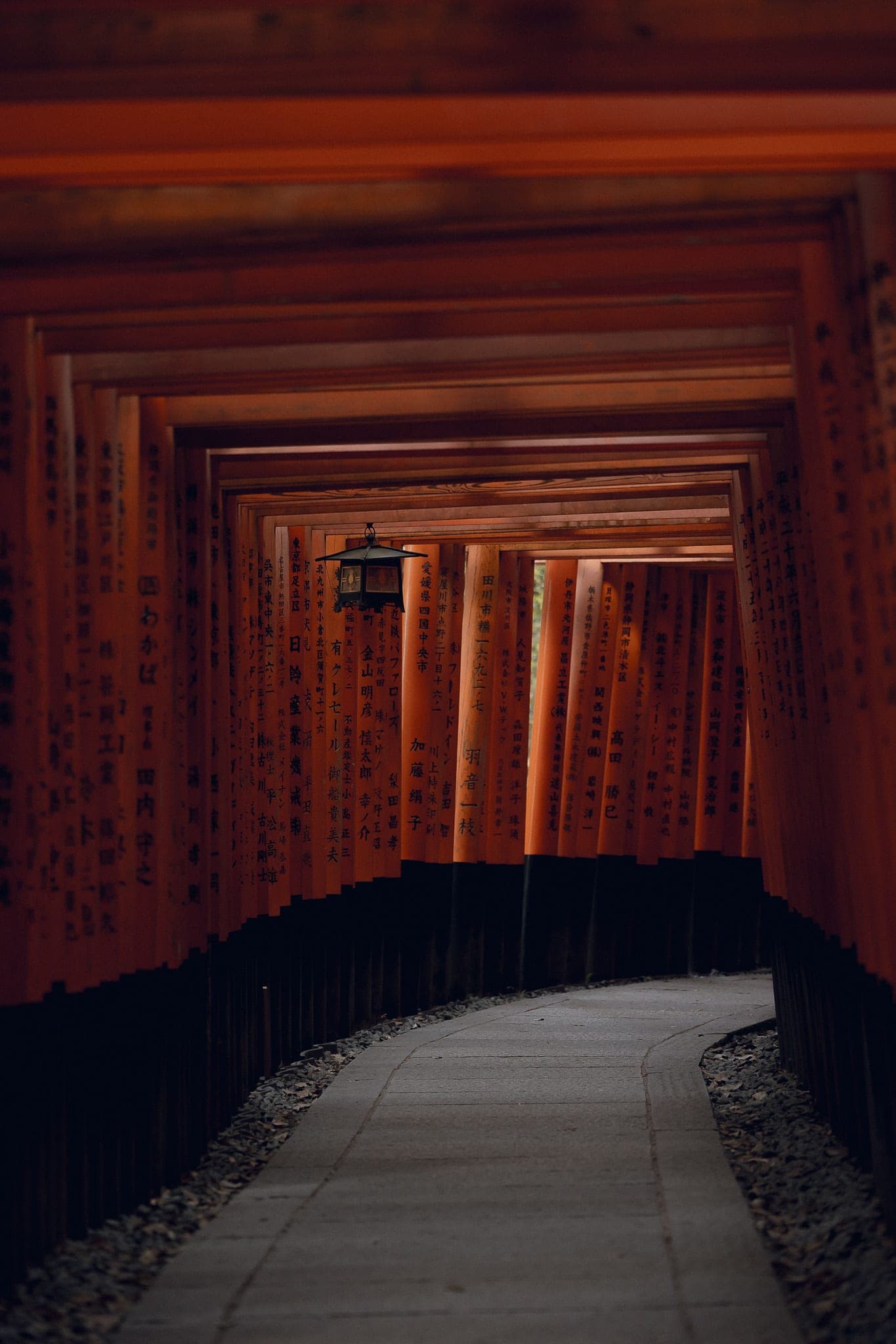 Travel photo 10