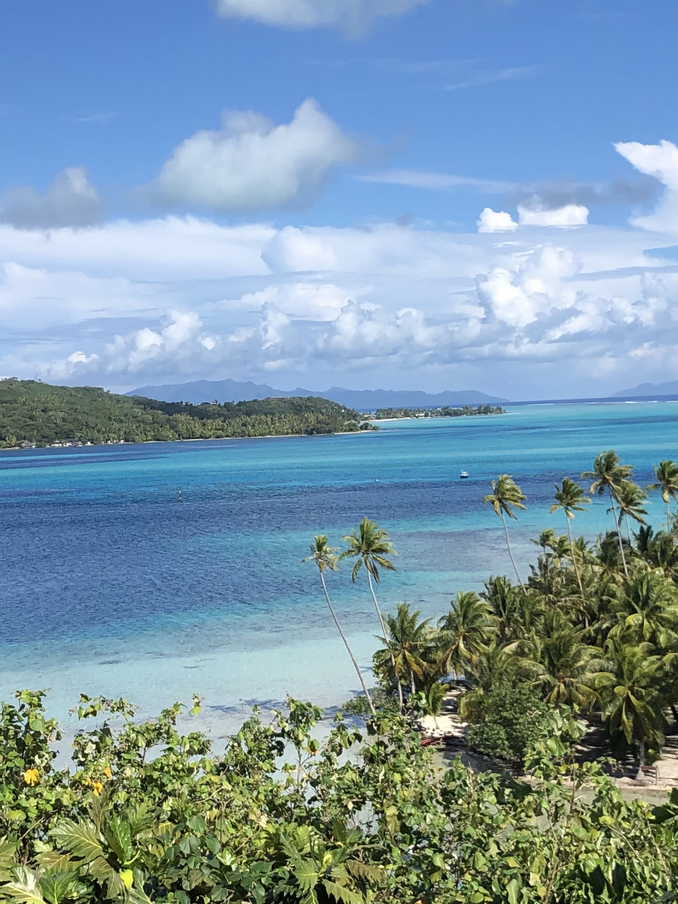 Travel photo 1