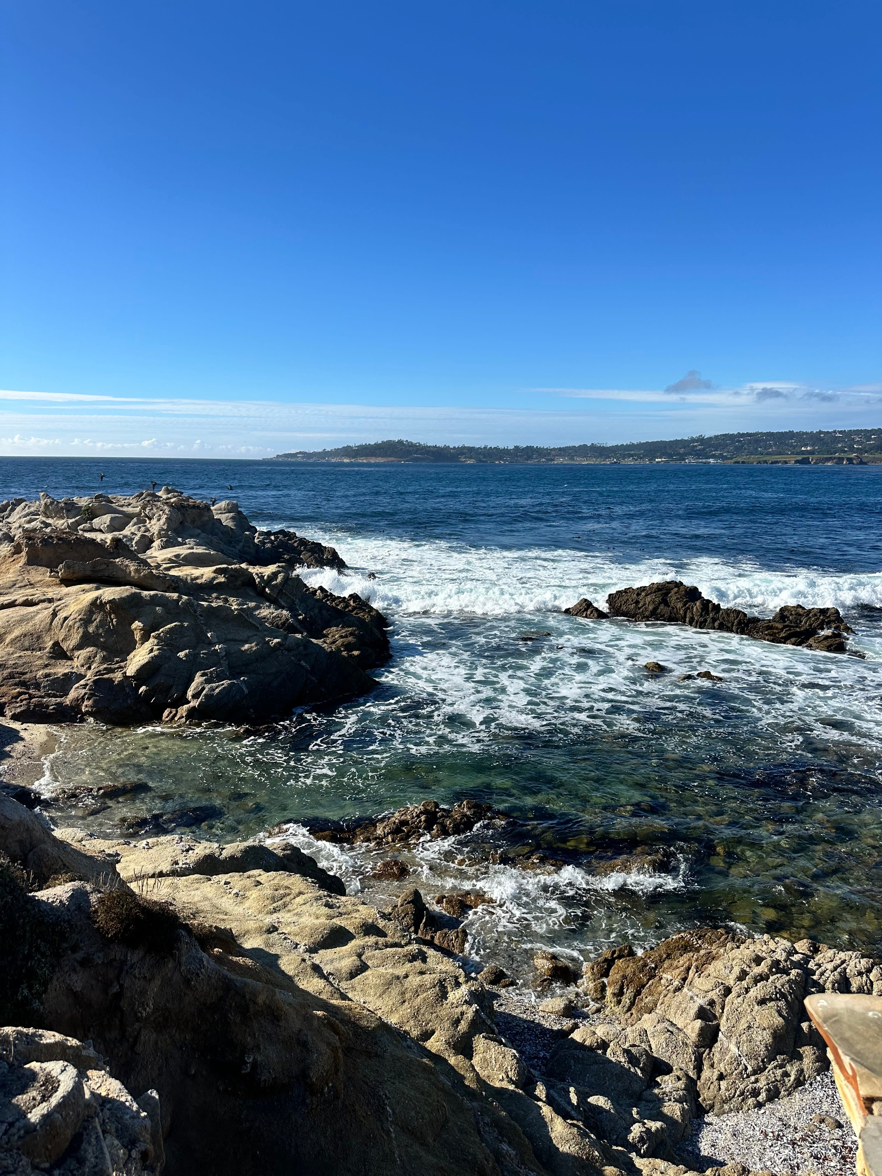 San Francisco to Santa Barbara: Four Days of Wine, Waves & Whales curated by Michelle McDonagh