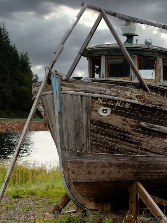 Cruise Port Essentials: Exploring Icy Strait Point curated by Debbie Whelchel