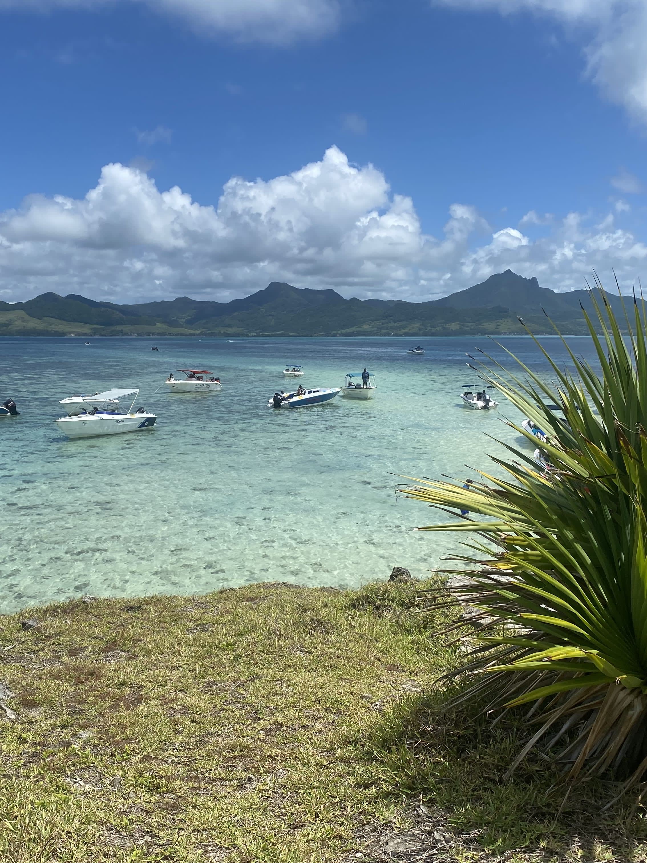 Paradise Found: A Luxury Traveler’s Guide to Mauritius curated by Monika Lindner