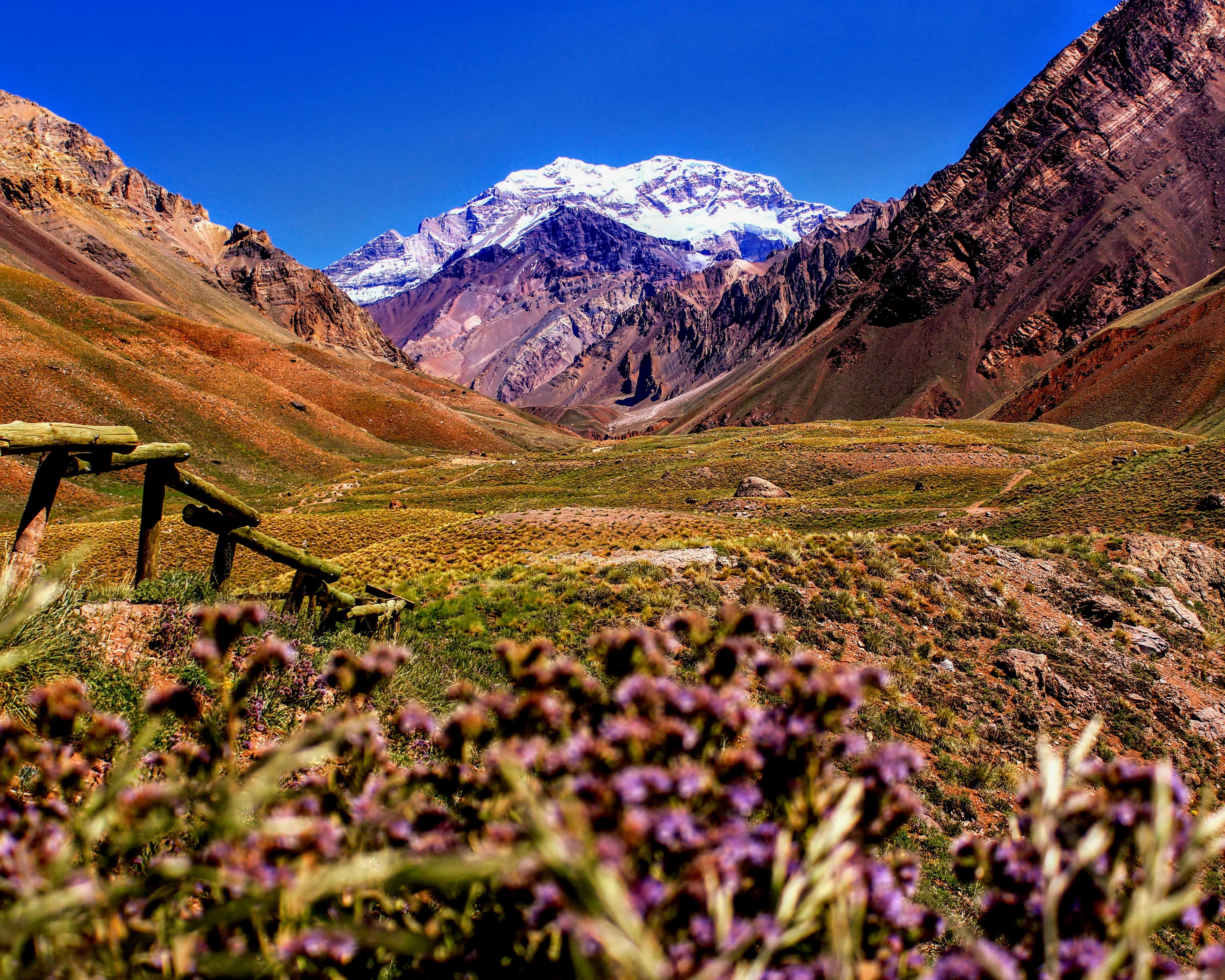 a flower filled green and brown valley with rocky mountains and snow capped peak under blue skies during day