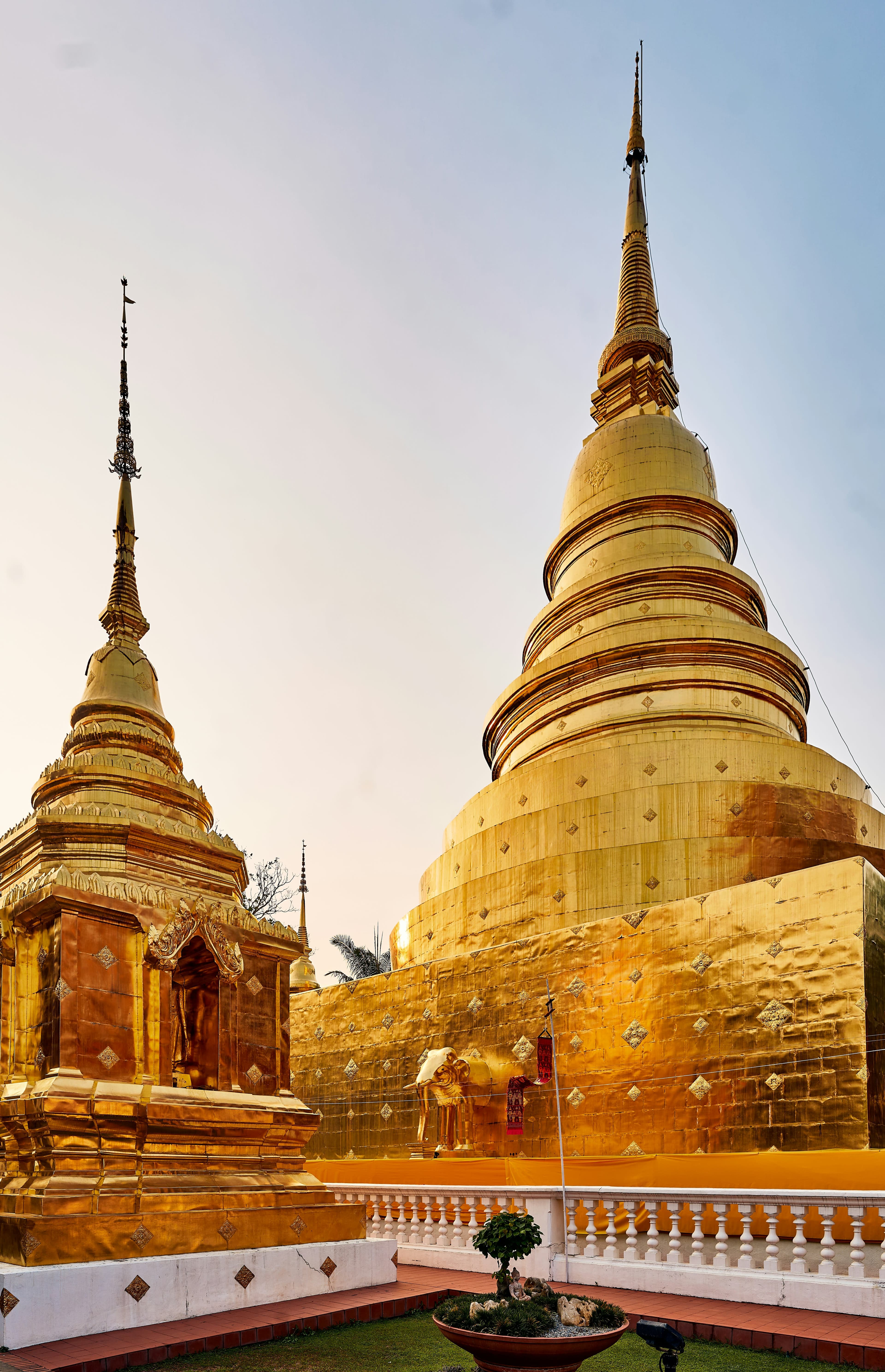 Wild Encounters & Golden Spires: A 3-Day Journey Through Chiang Mai curated by Faith Yeaton
