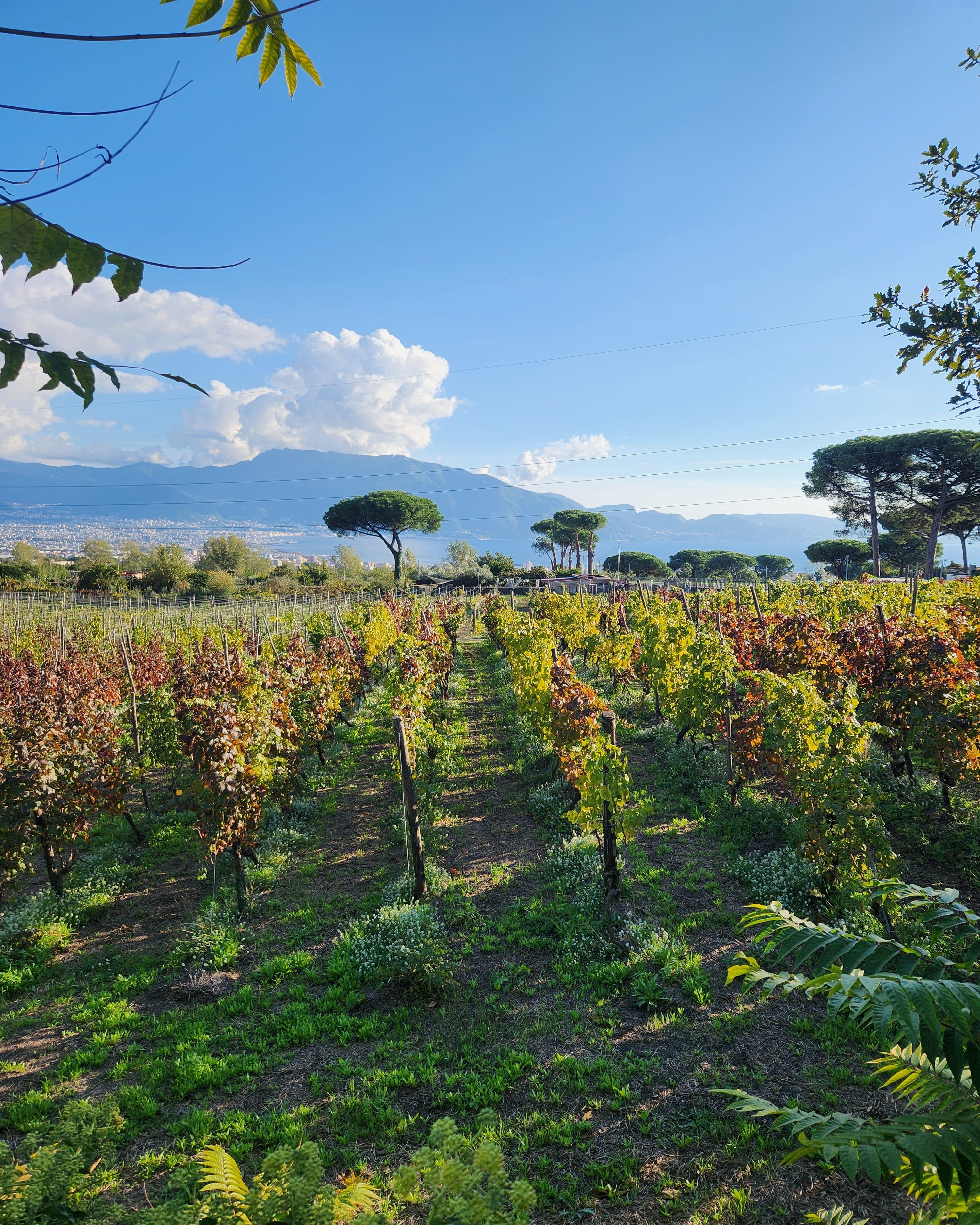 Gluten-Free Foodie in Italy? Sì! curated by Anne Houghtaling