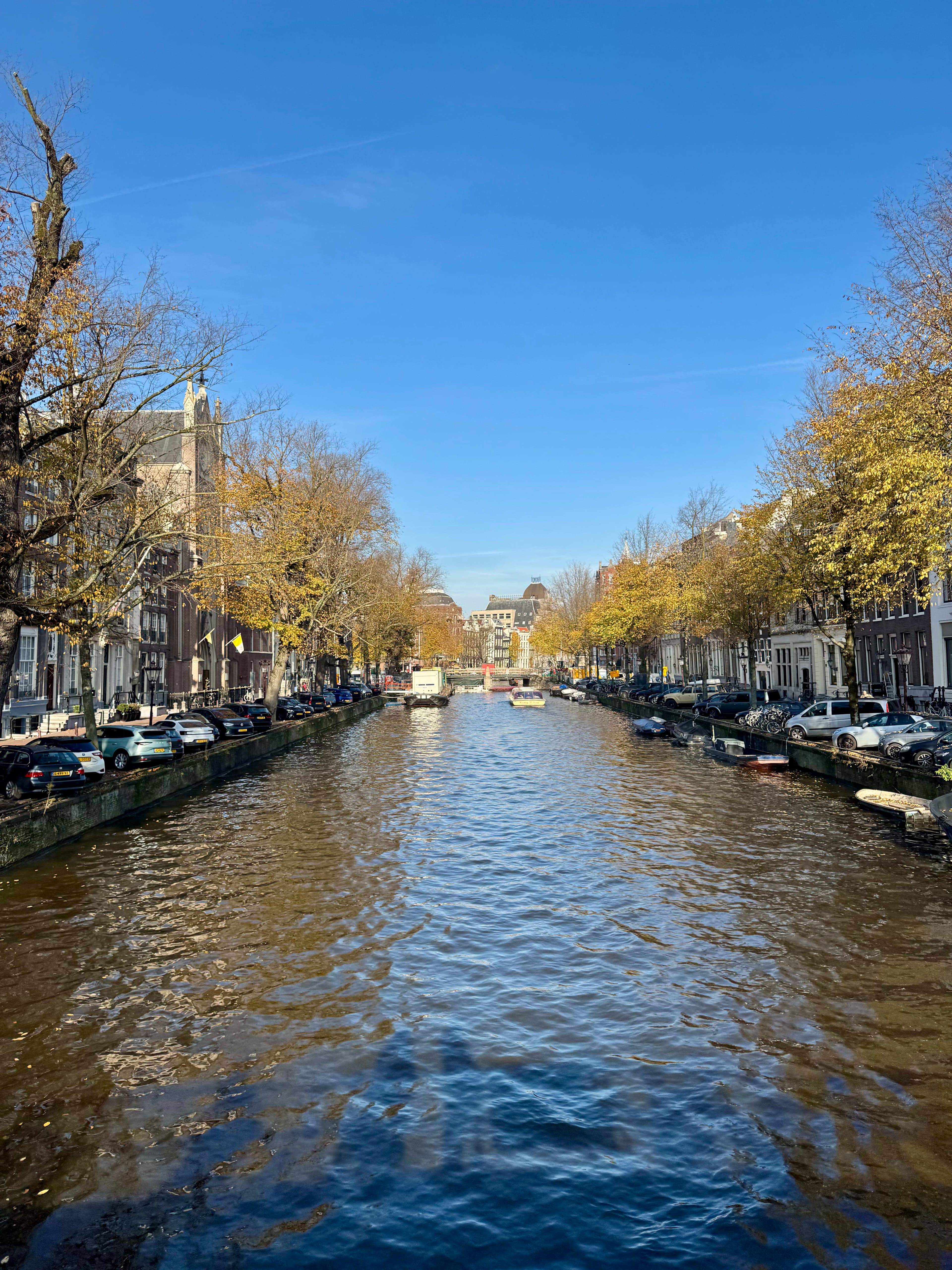 Go Beyond the Tulips: Your Insider Guide to Amsterdam curated by Ryan Ali