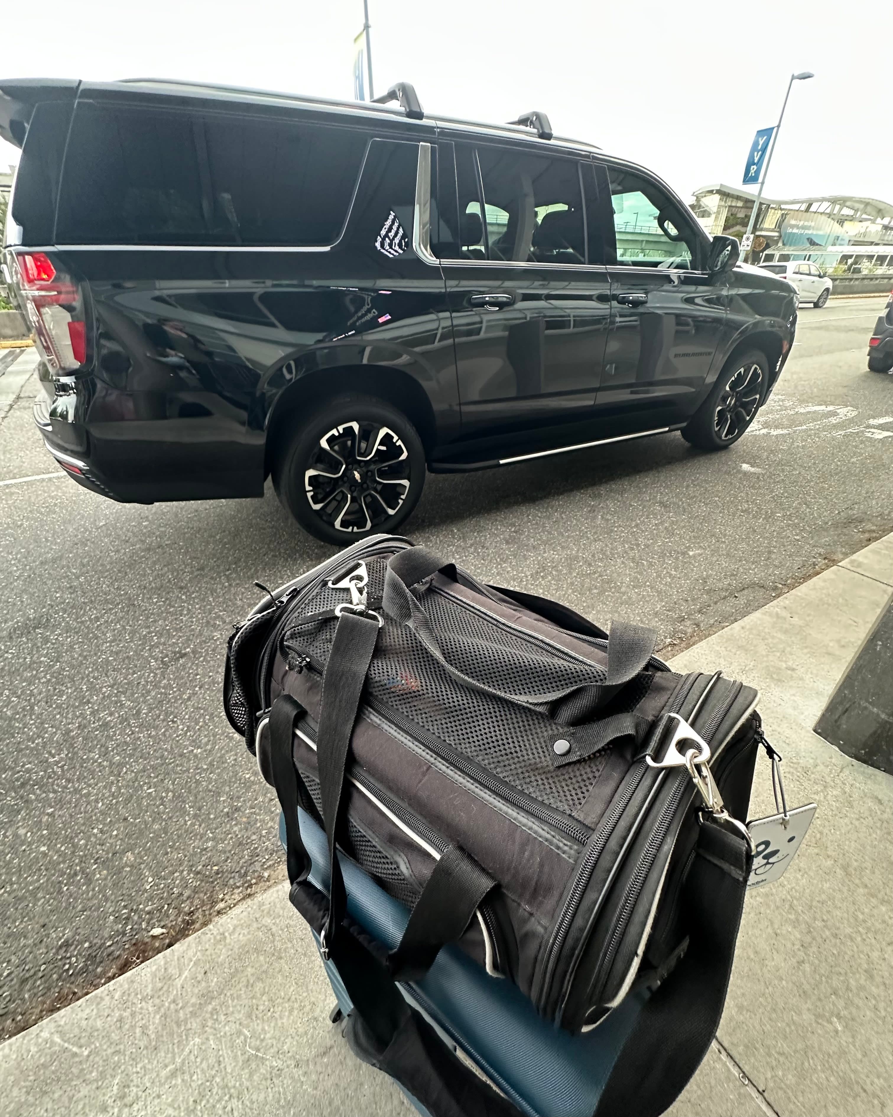 Blacklane for Airport Transfers: Safe, Comfortable & Pet-Friendly curated by Aliza Bodzin