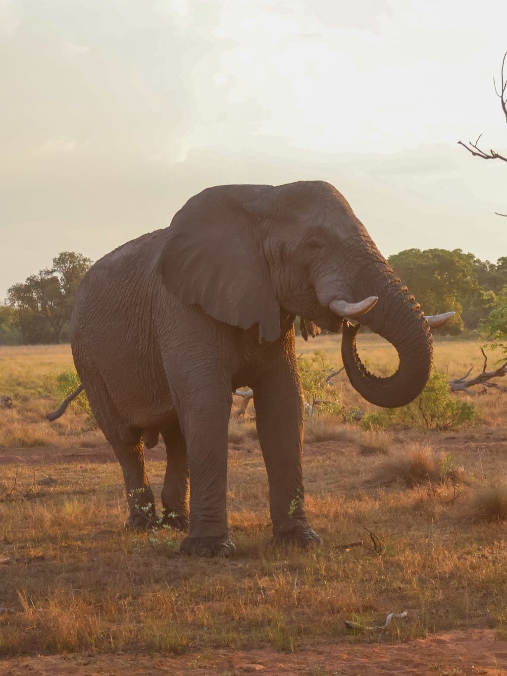 How to Choose a Safari Lodge curated by Katie Boucher