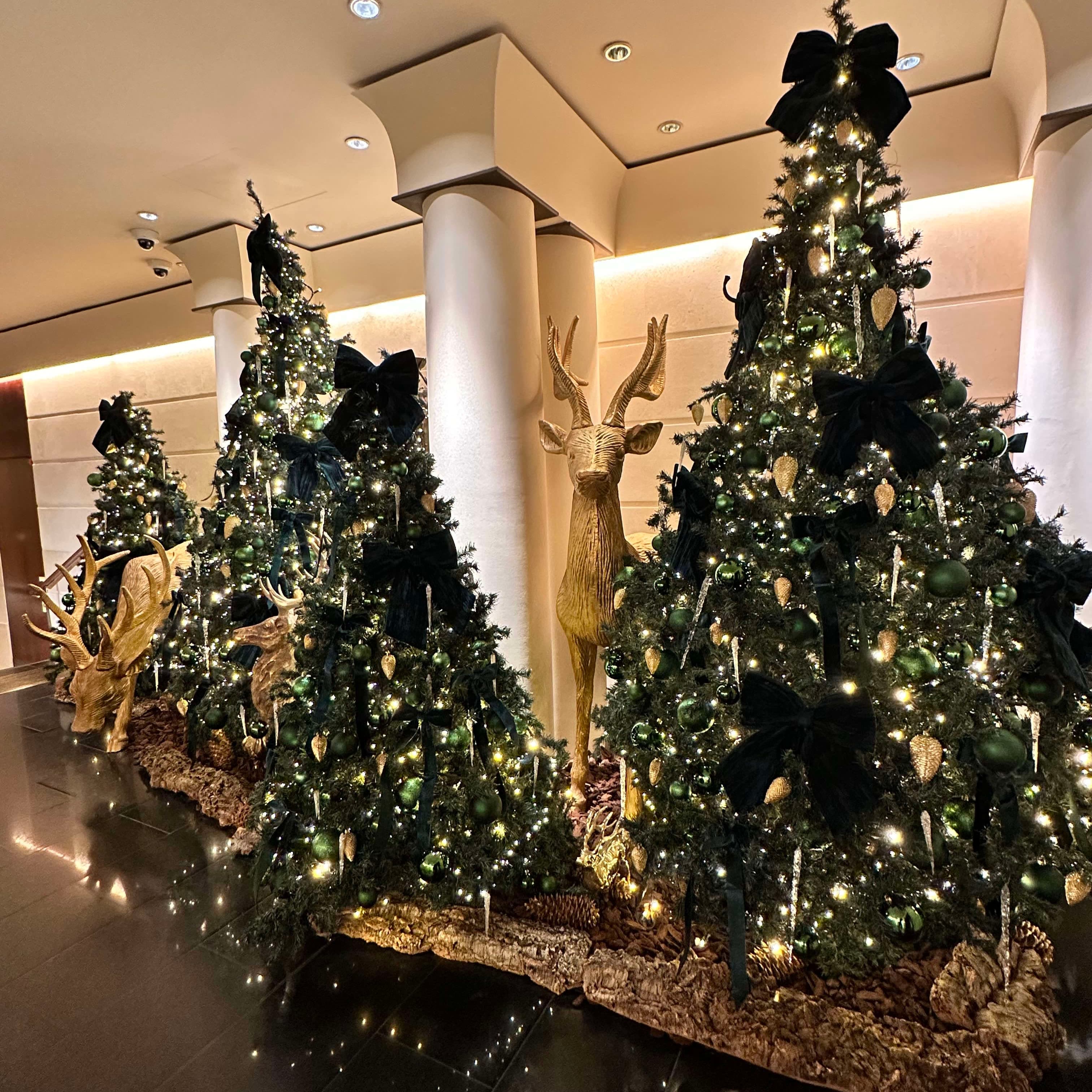 A Festive European Holiday: Christmas & New Year’s in Amsterdam, Brussels, Alsace & Paris curated by Morgan Hopkins