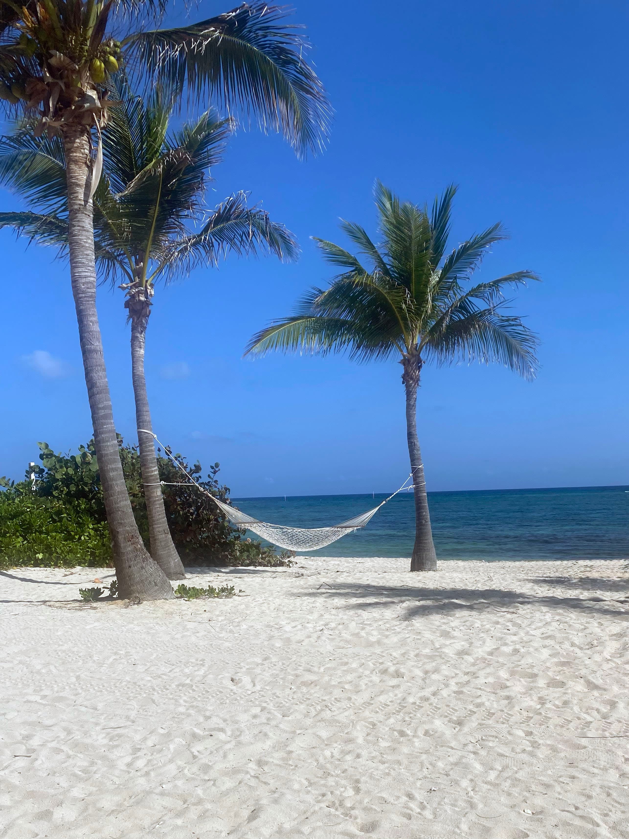 Splash, Explore, Repeat: The Ultimate Grand Cayman Family Week curated by Tabitha Fields