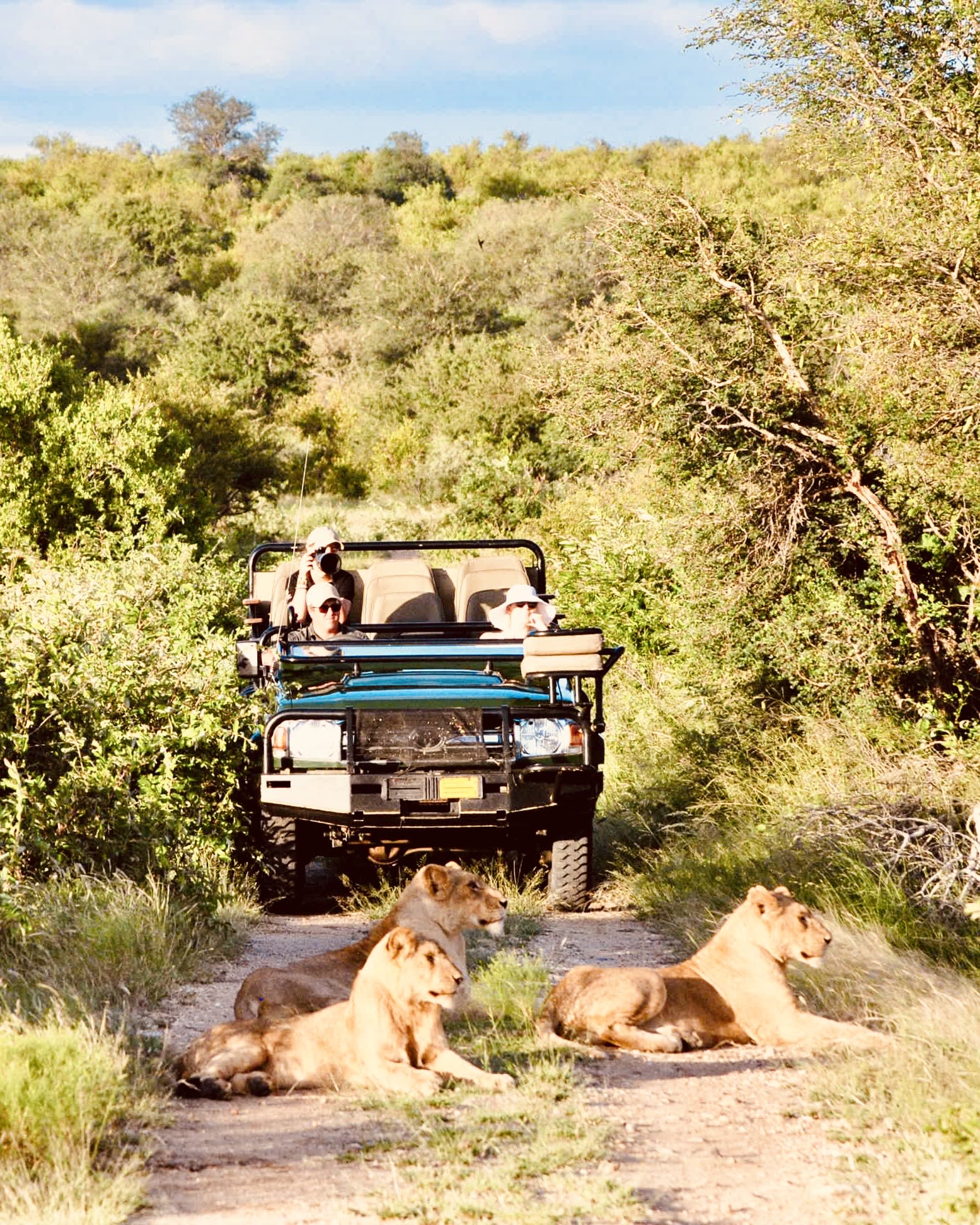 Property Spotlight: Safari Perfection at South Africa's Klaserie Drift curated by Alisha Keirstead