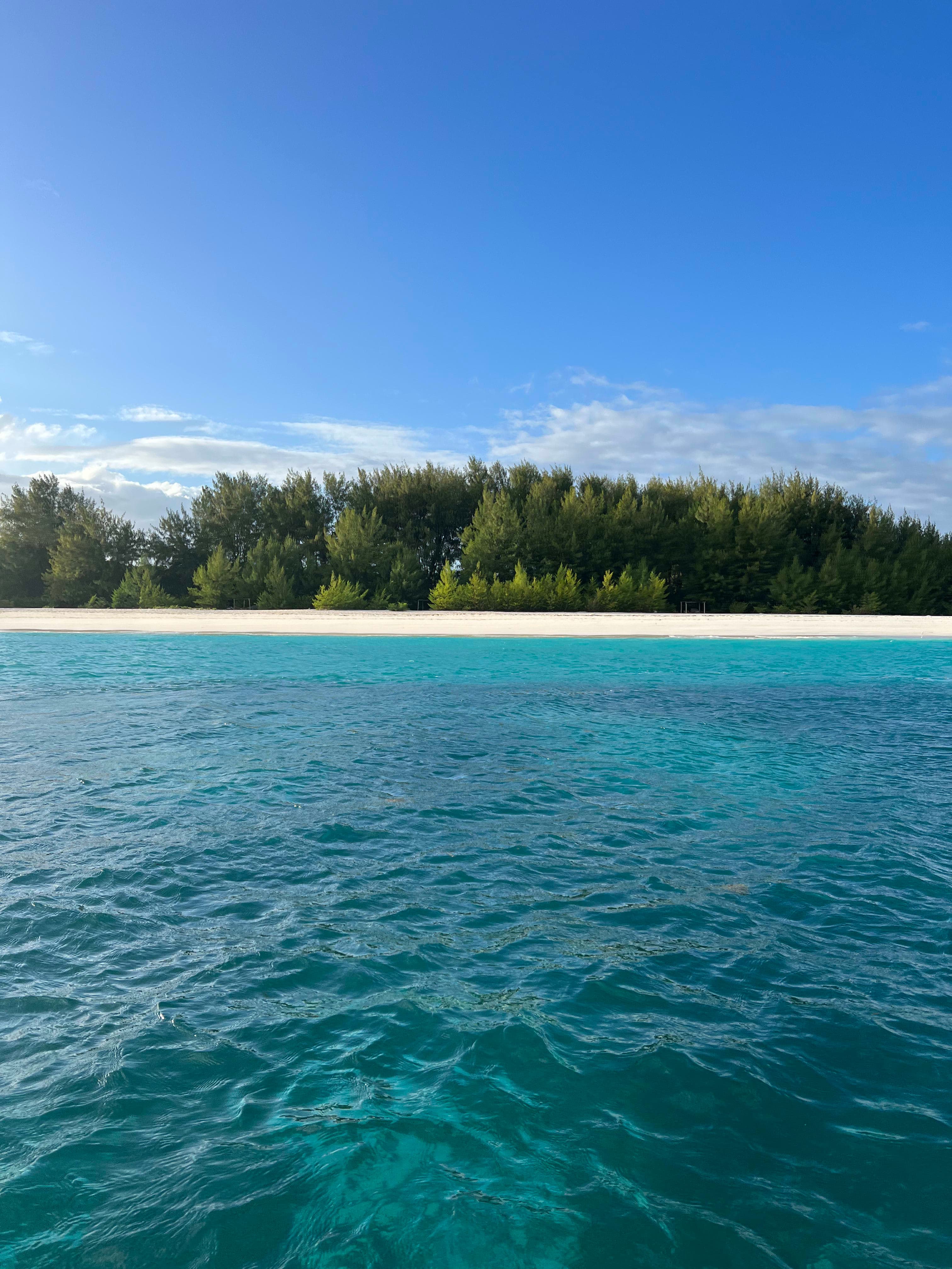 Zanzibar Unveiled: The Ultimate Island Escape Guide curated by Nora Triller