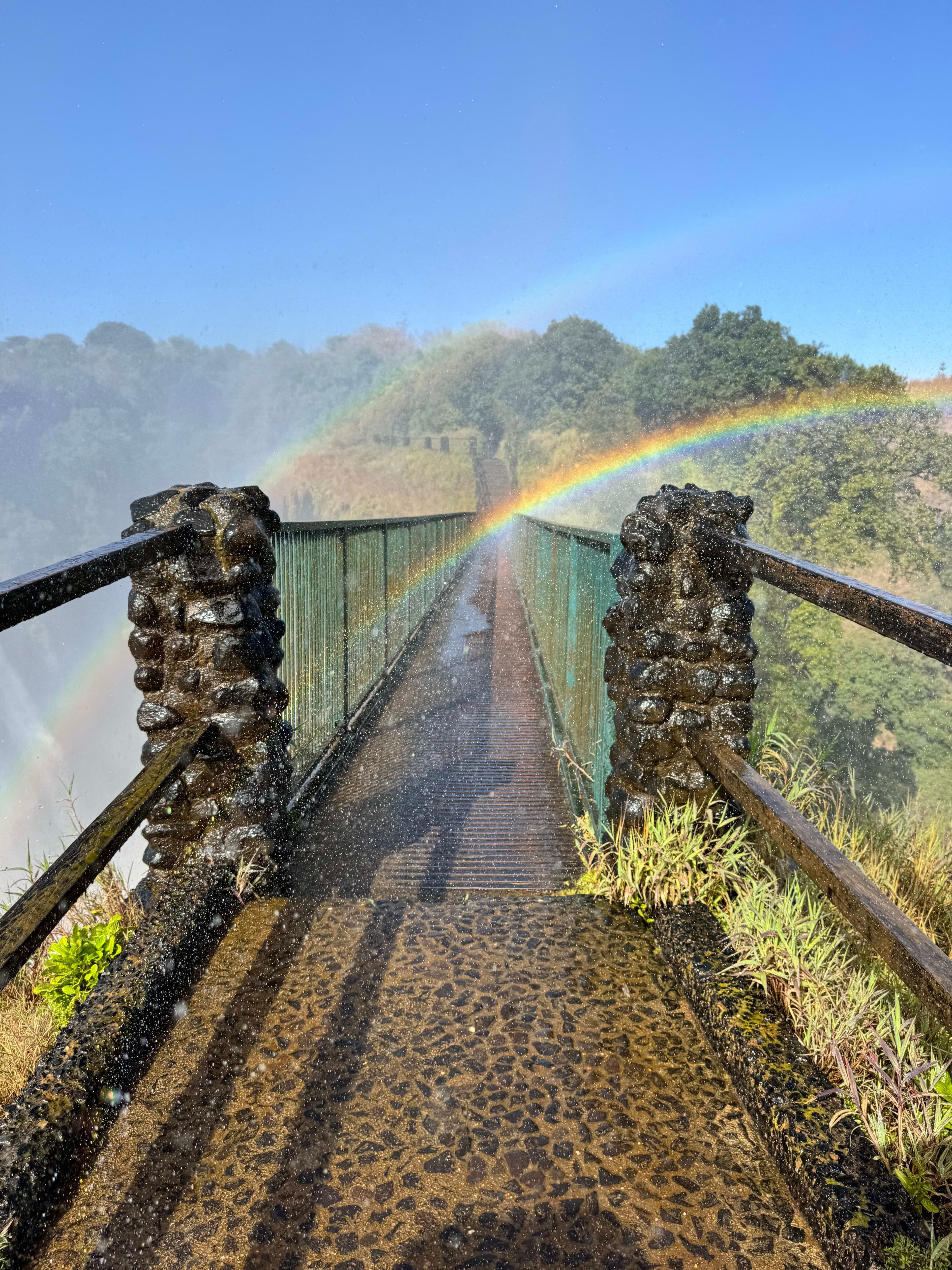 Victoria Falls: The Perfect Zambia Escape on the Zambezi River curated by Jennifer Singleton