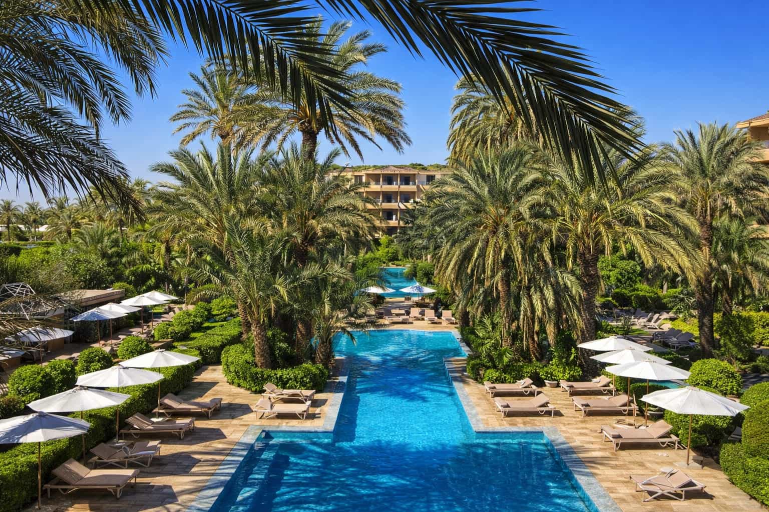 A palm-lined resort pool with symmetrical loungers and white umbrellas, framed by tropical gardens and a long turquoise swimming lane stretching toward a sunlit hotel building.