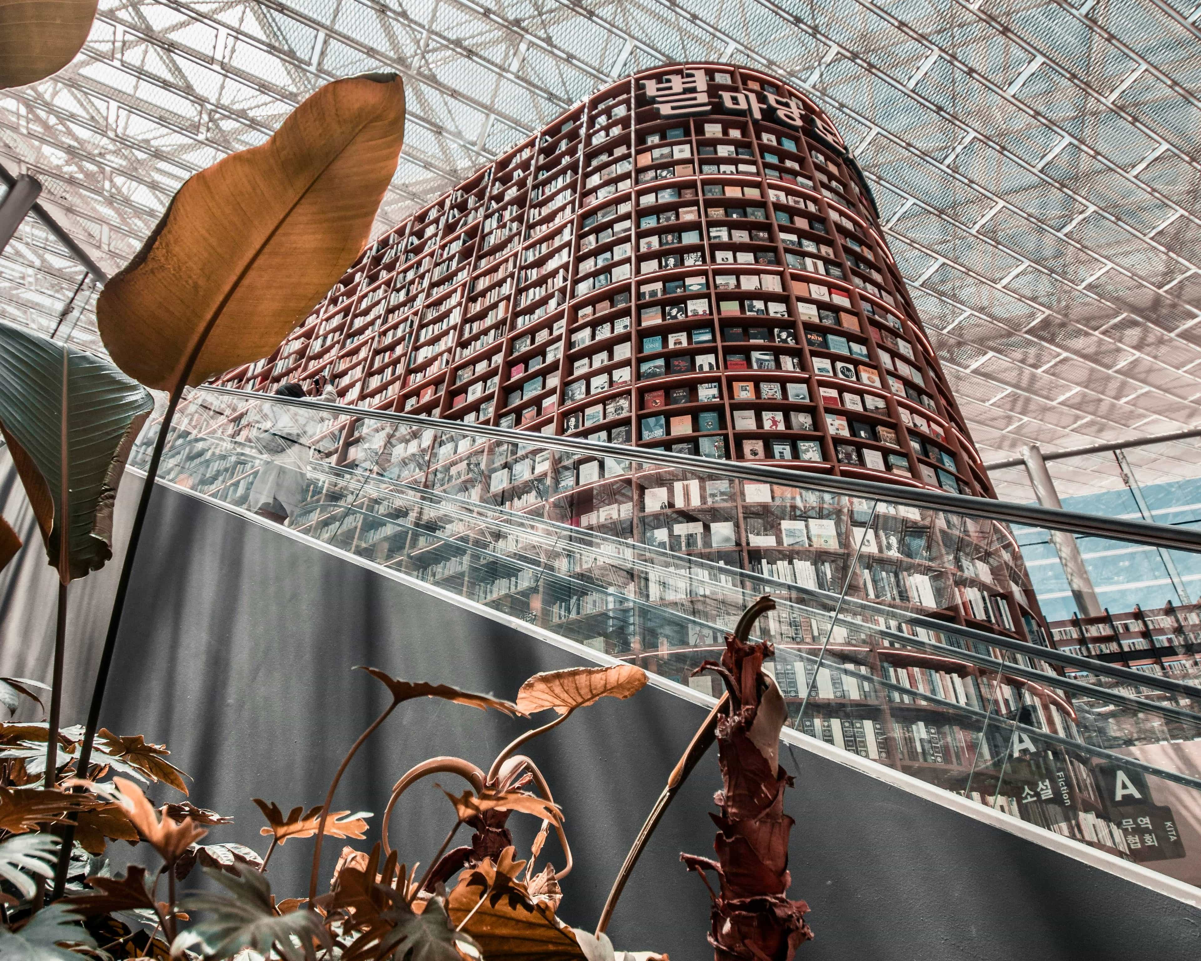 book covered wall stretching to a glass ceiling behind a tall escalator