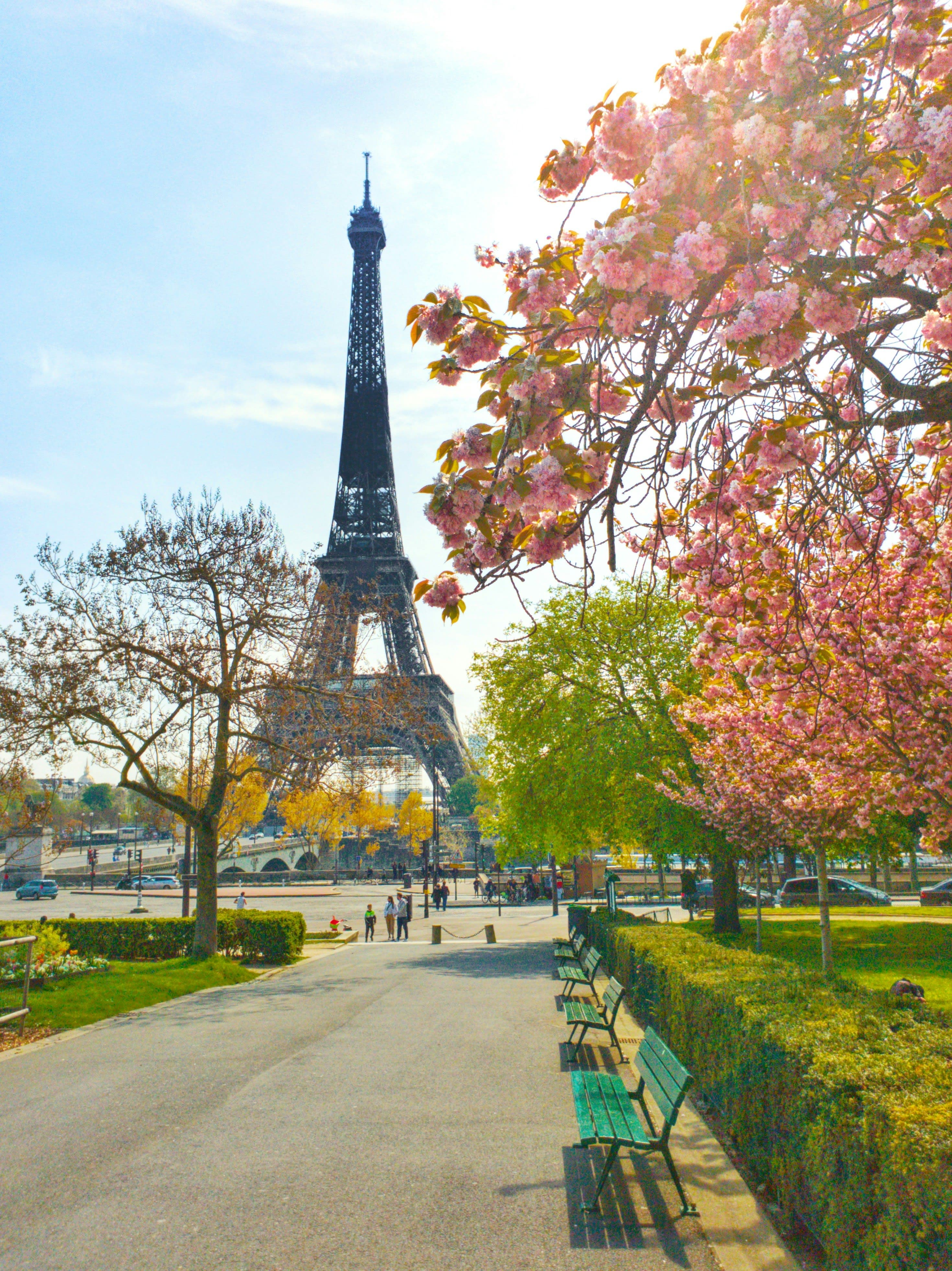 3 Perfect Days in Paris curated by Christina Helm