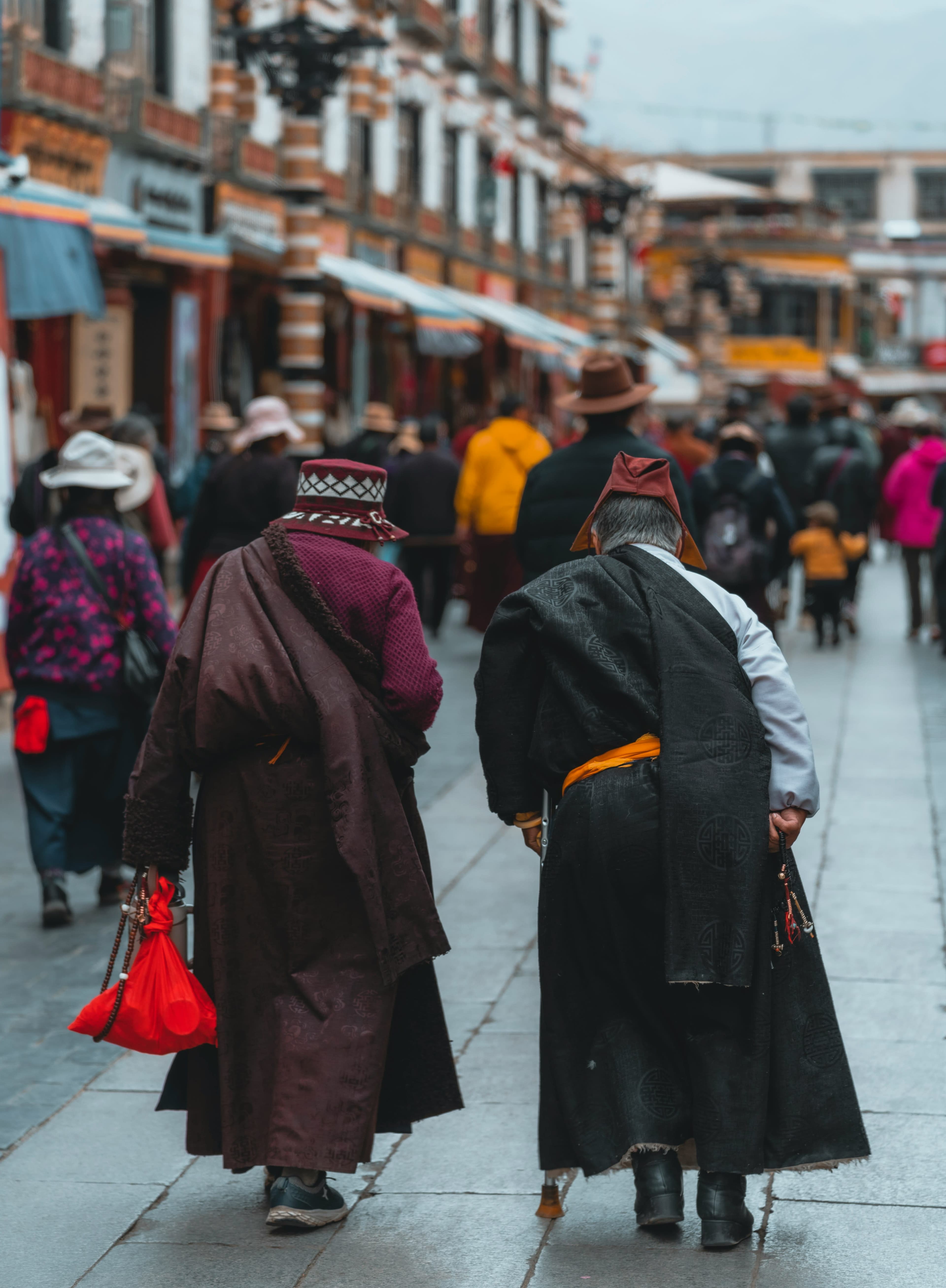 A Few Days in the Tibetan Town of Dharamsala curated by Tenzin Topden