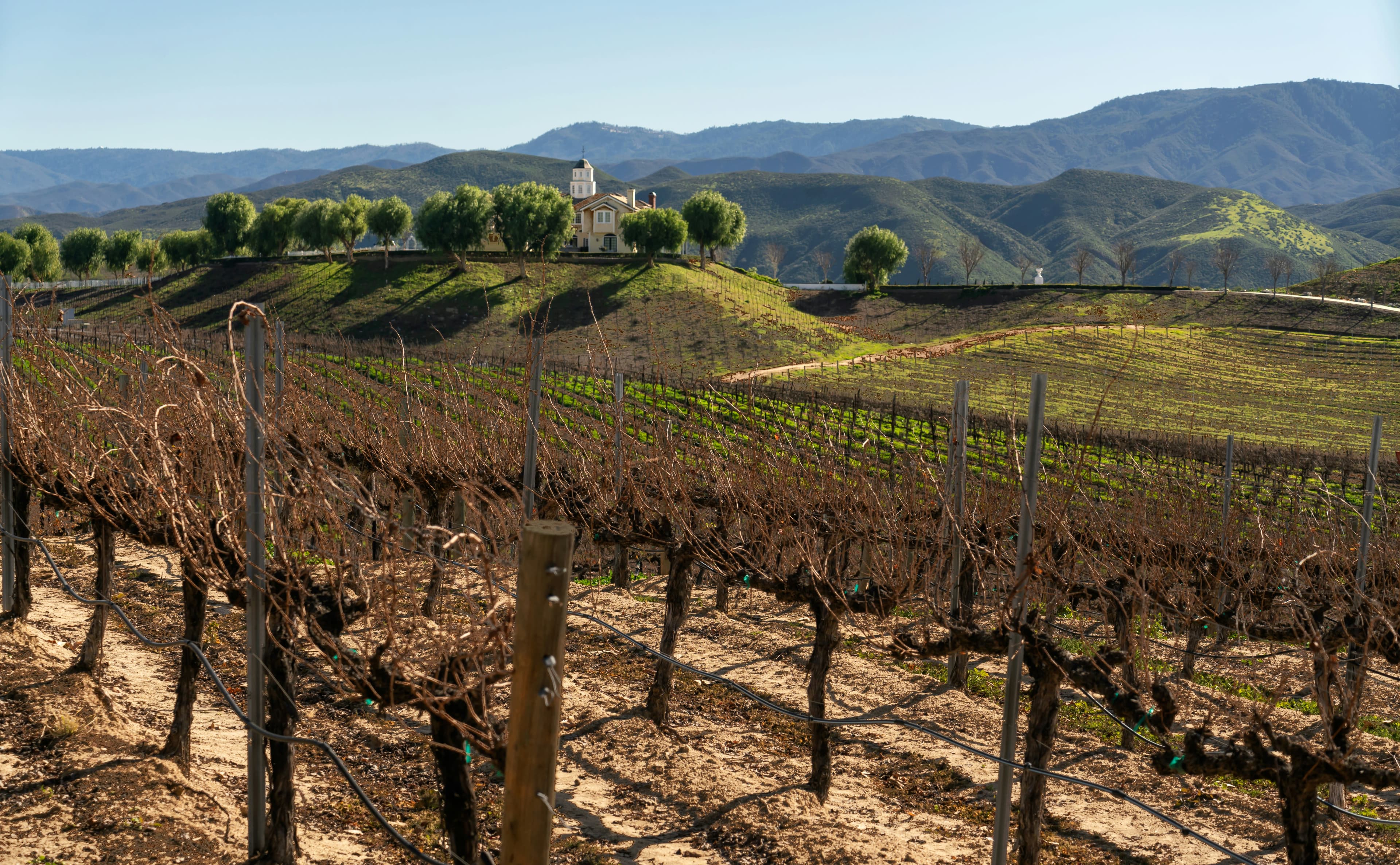A Perfect Couples Weekend in Temecula Wine Country curated by Carlin Moore
