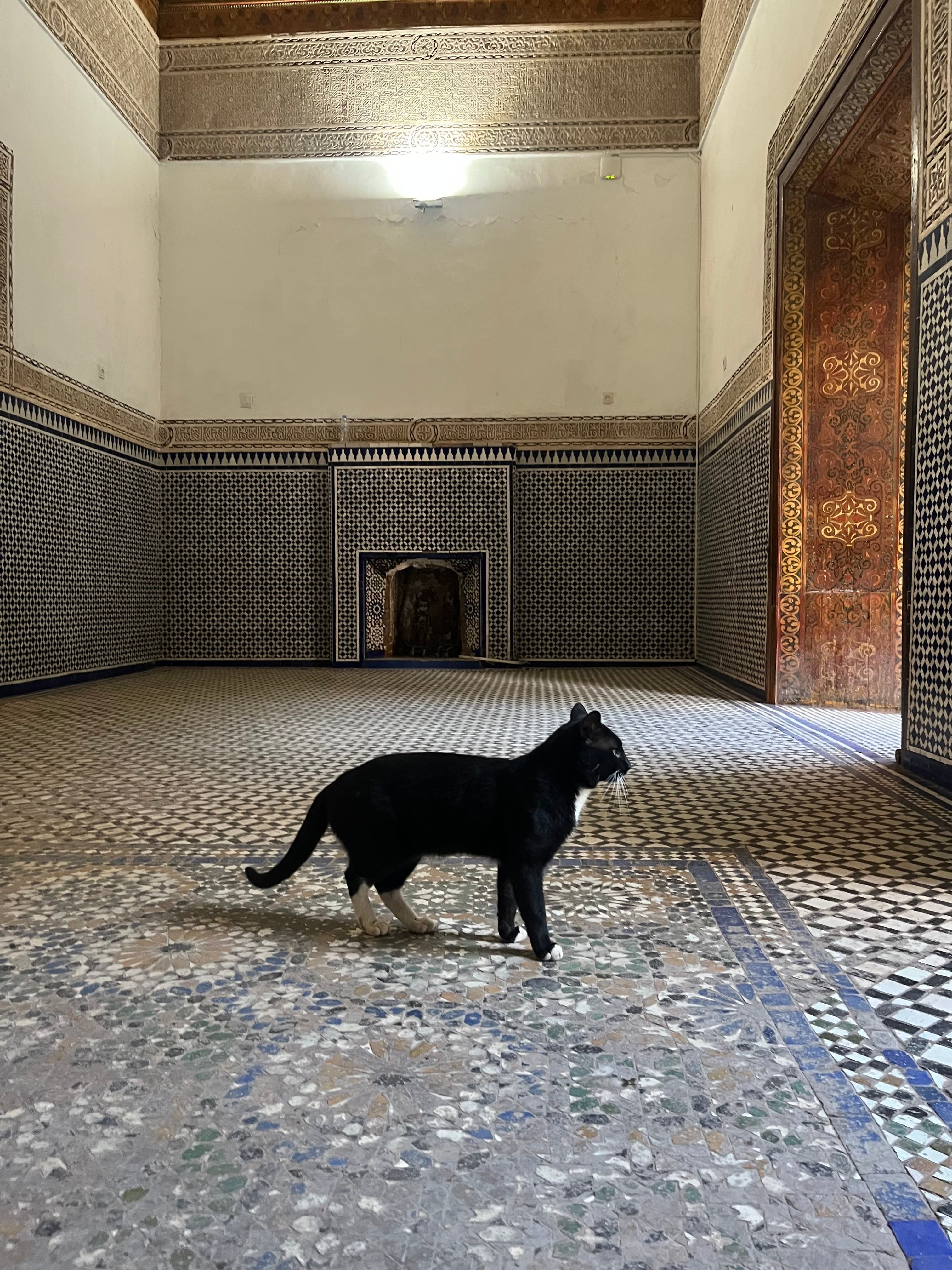 See Marrakech: Guide curated by Michael Stein