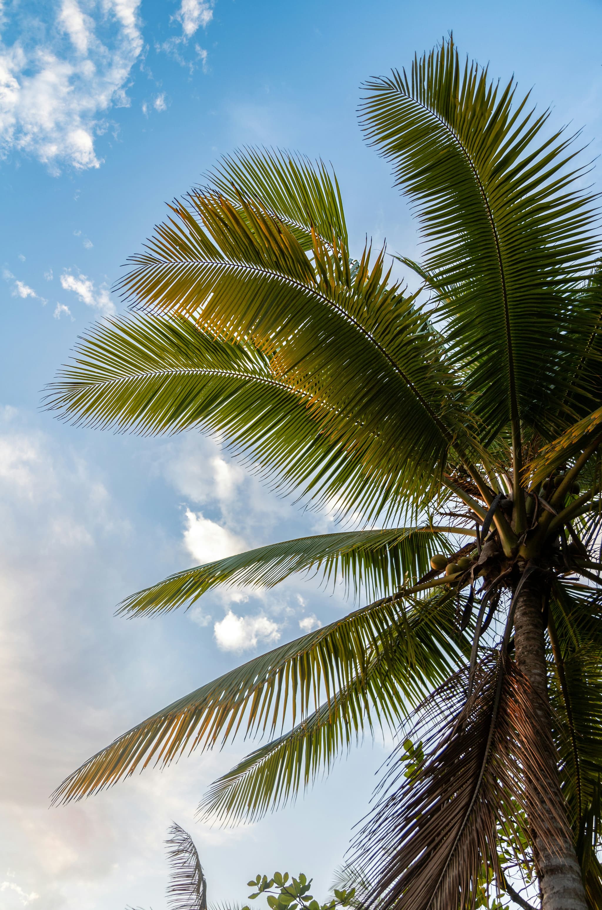 Fora - Corporate retreats & offsites