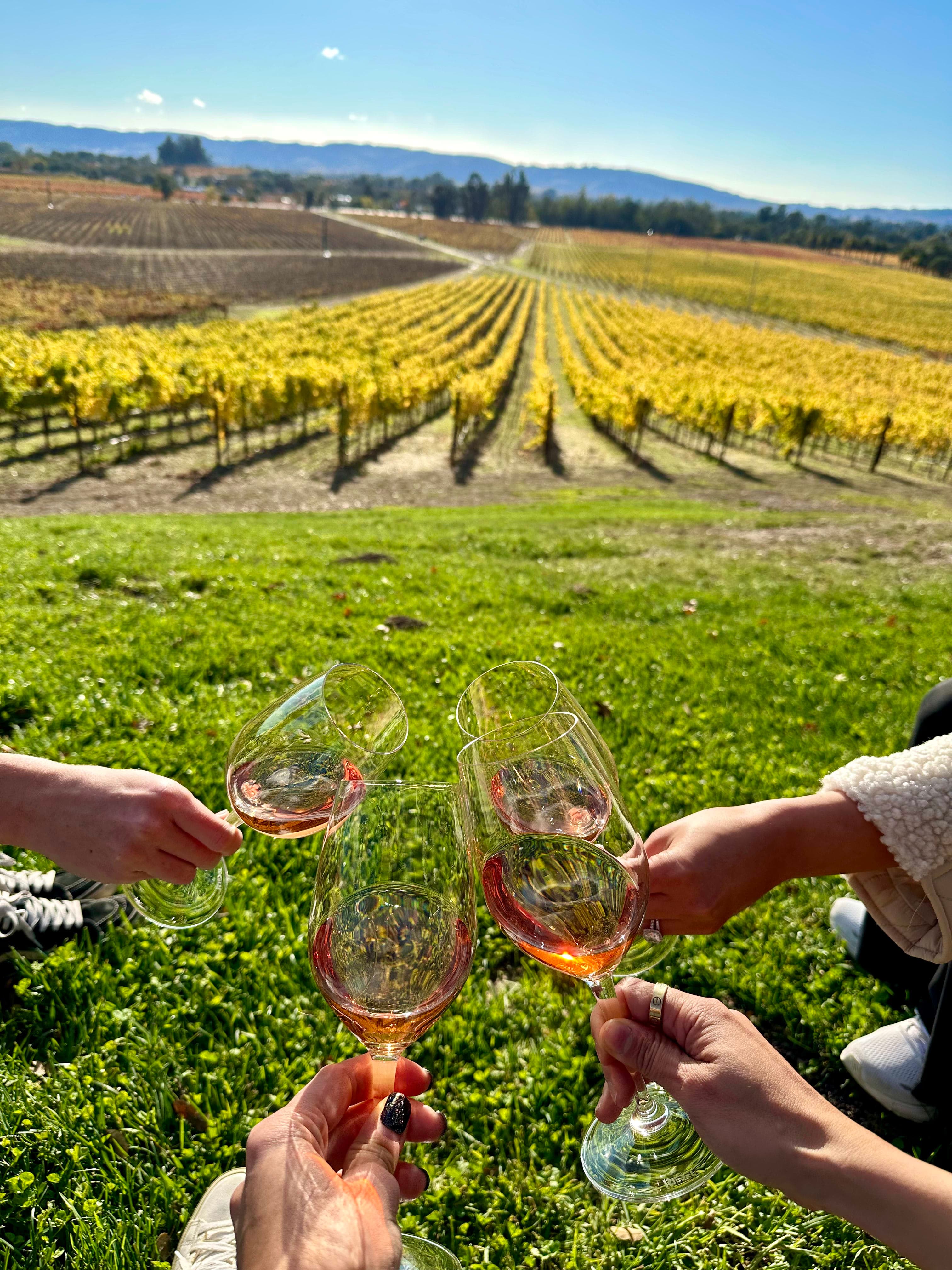 Two Towns, One Wine Country: How to Choose Between Sonoma & Healdsburg curated by Alina Morand