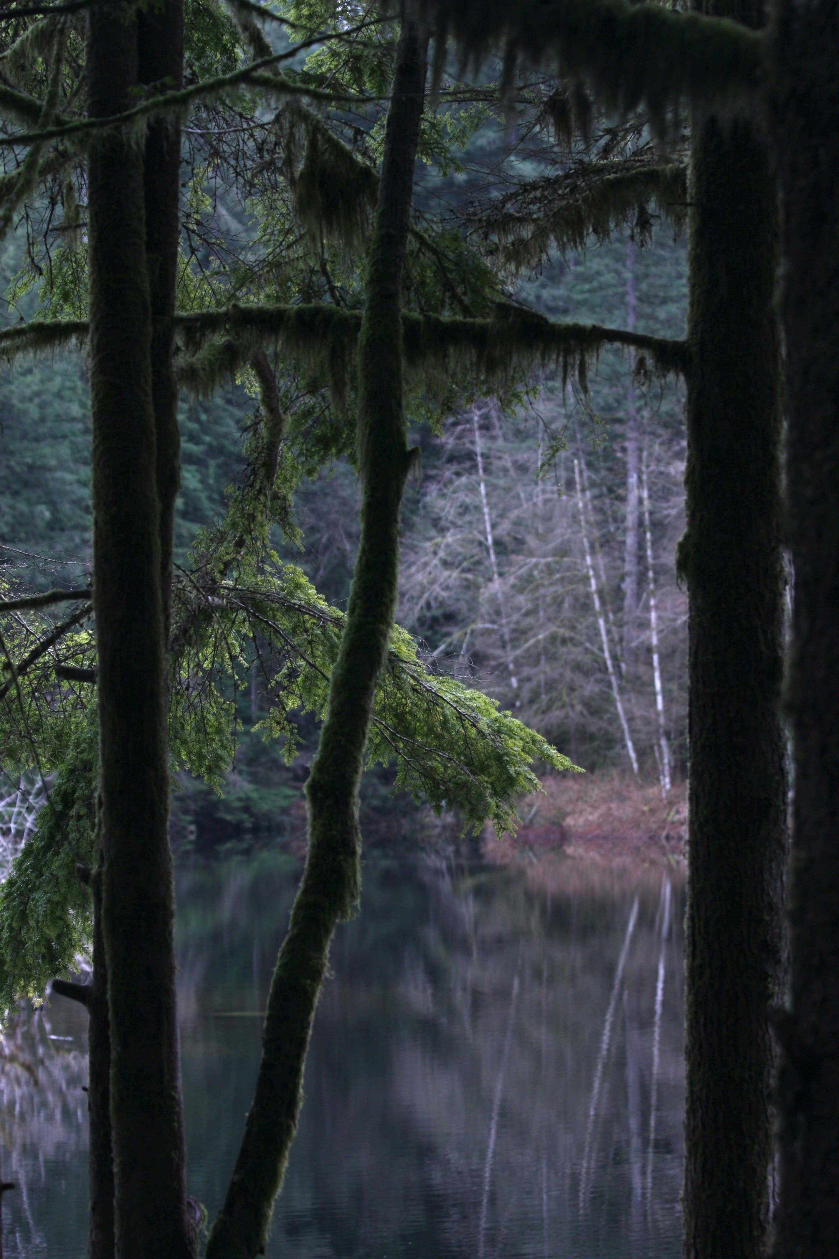 Enochian Transformation: A 5-Day Ritual Immersion in the Beautiful British Columbia Wilderness curated by Athena Wallinder