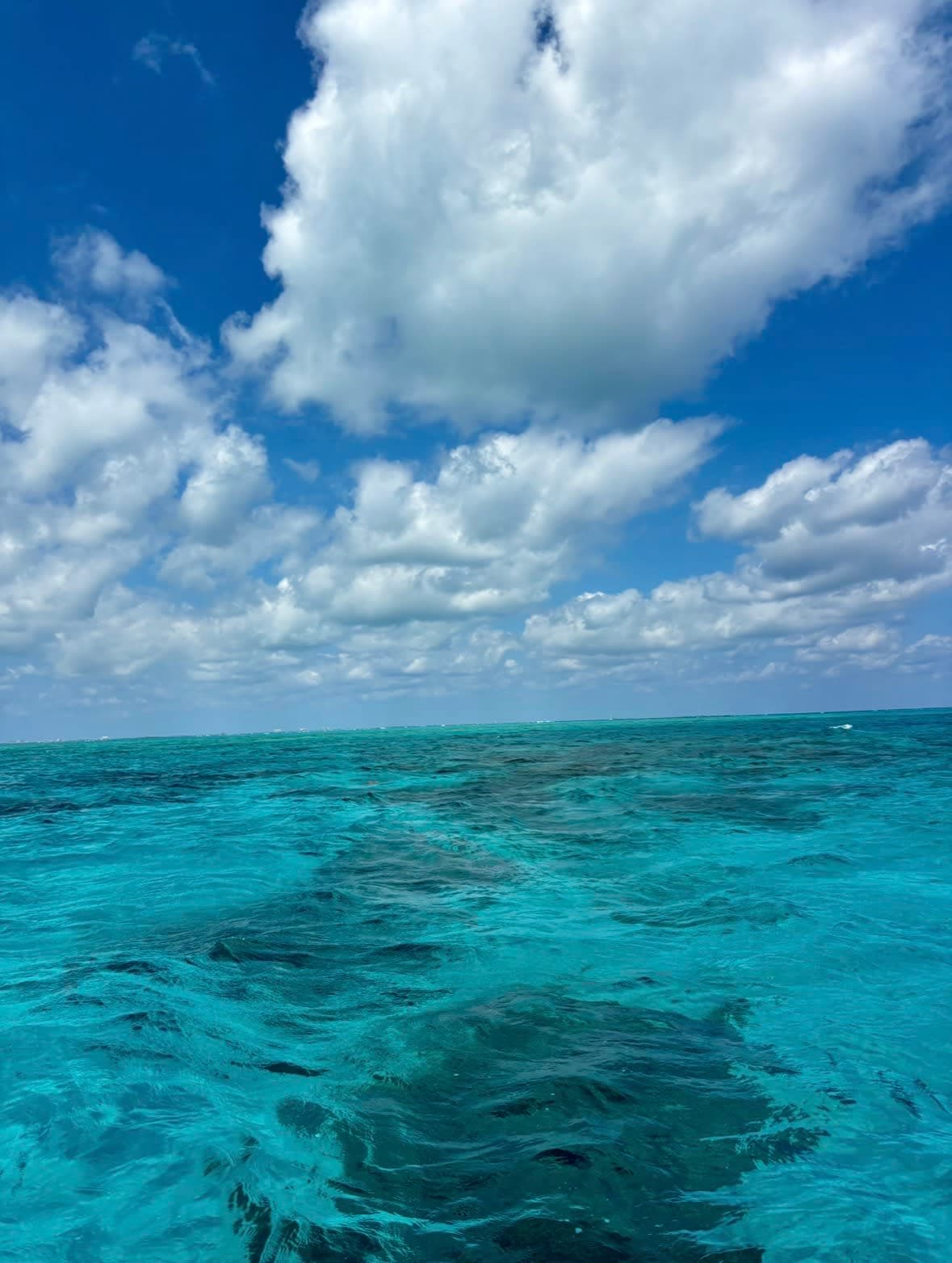 Grand Cayman: The Perfect Family Getaway curated by Lise Mulderig