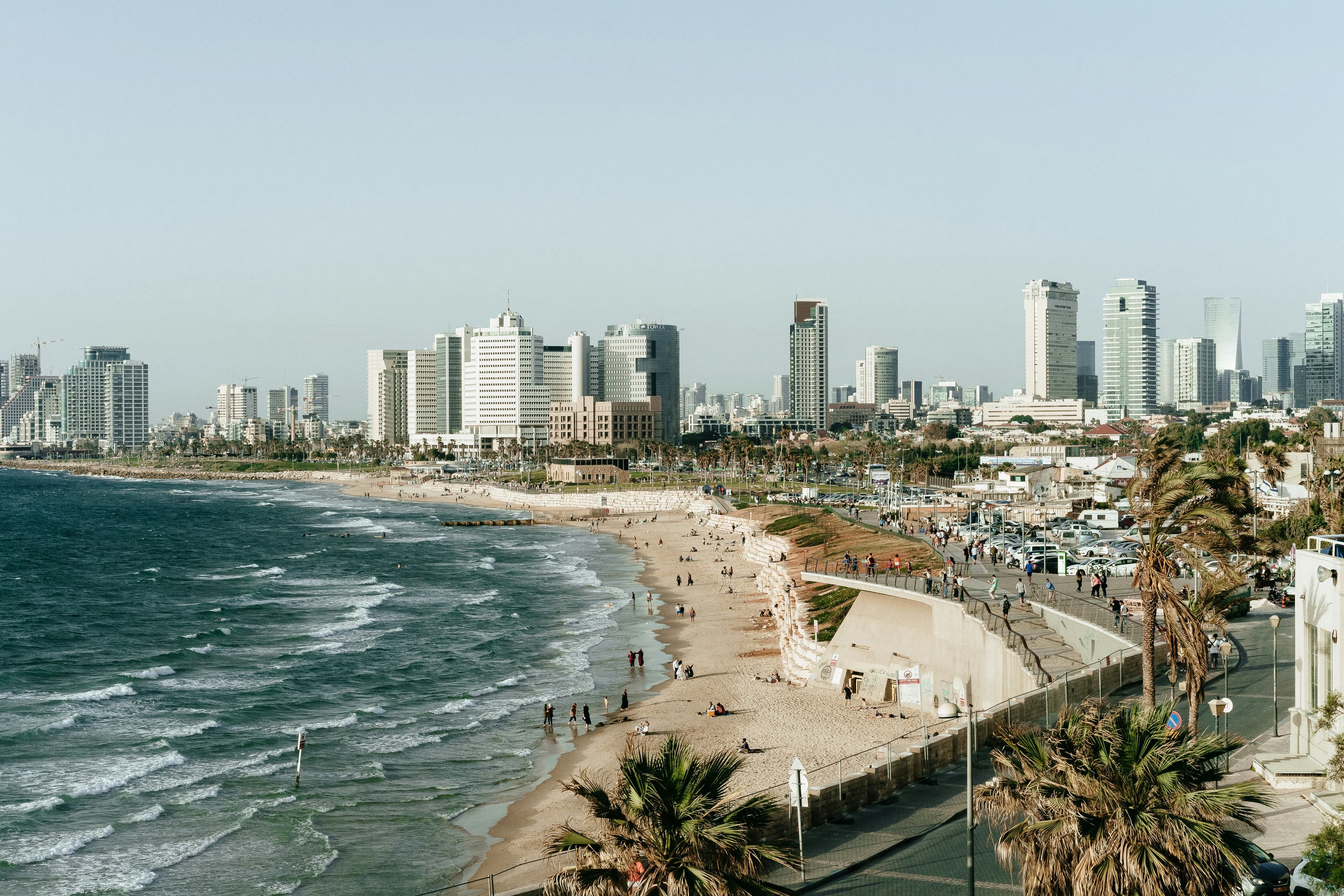 The Beach Lover's Guide to Israel curated by Carla Black