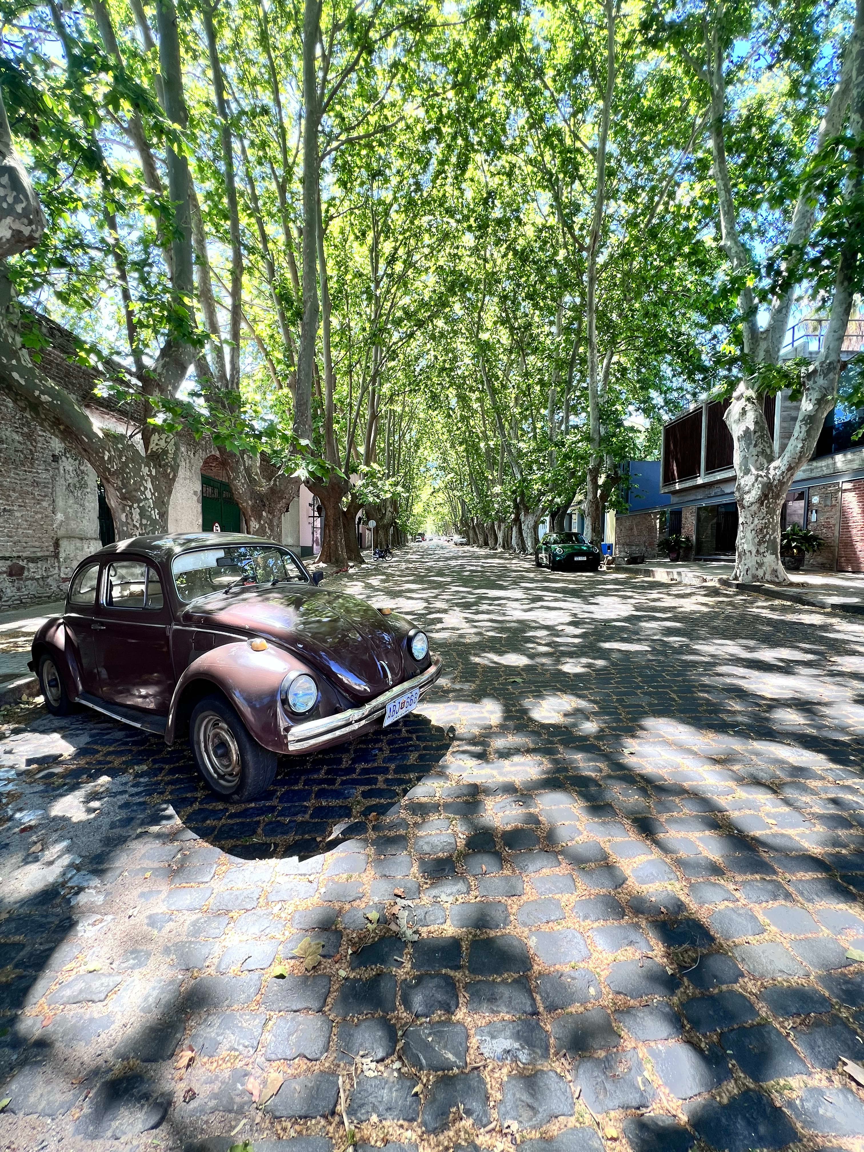 The Coast of Uruguay: Culture, Cafés & Clean Beaches curated by Erica Hanger