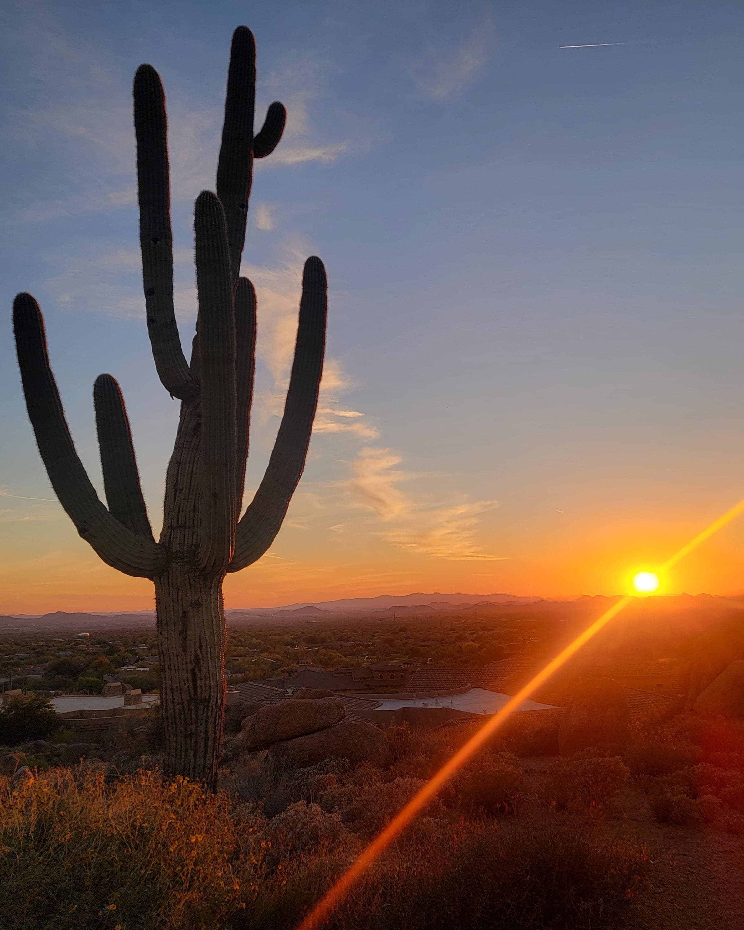 Scottsdale for Luxury, Wellness & Desert Beauty curated by Mackenzie Hunter