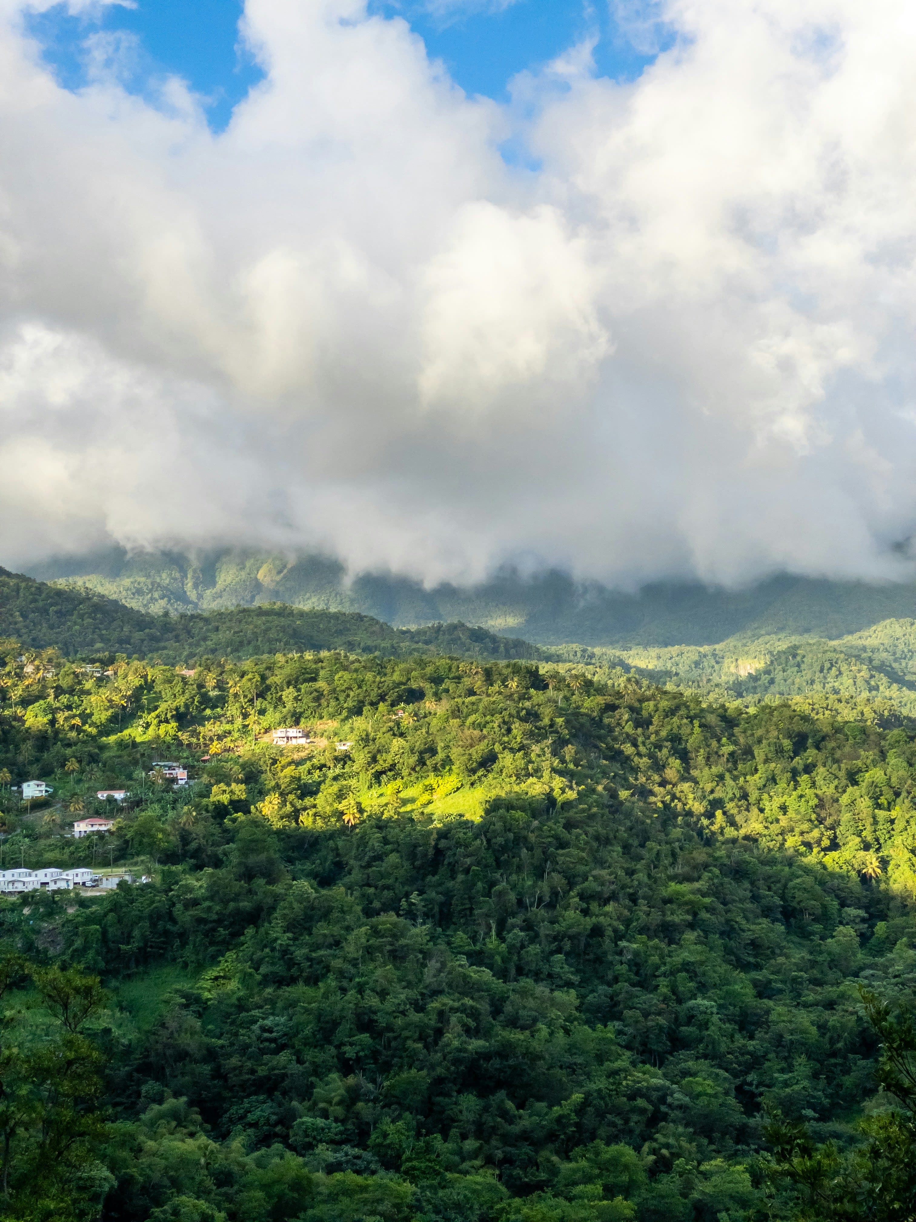 Waitukubuli Wellness in Dominica: The Nature Island of the Caribbean curated by Hubert Winston