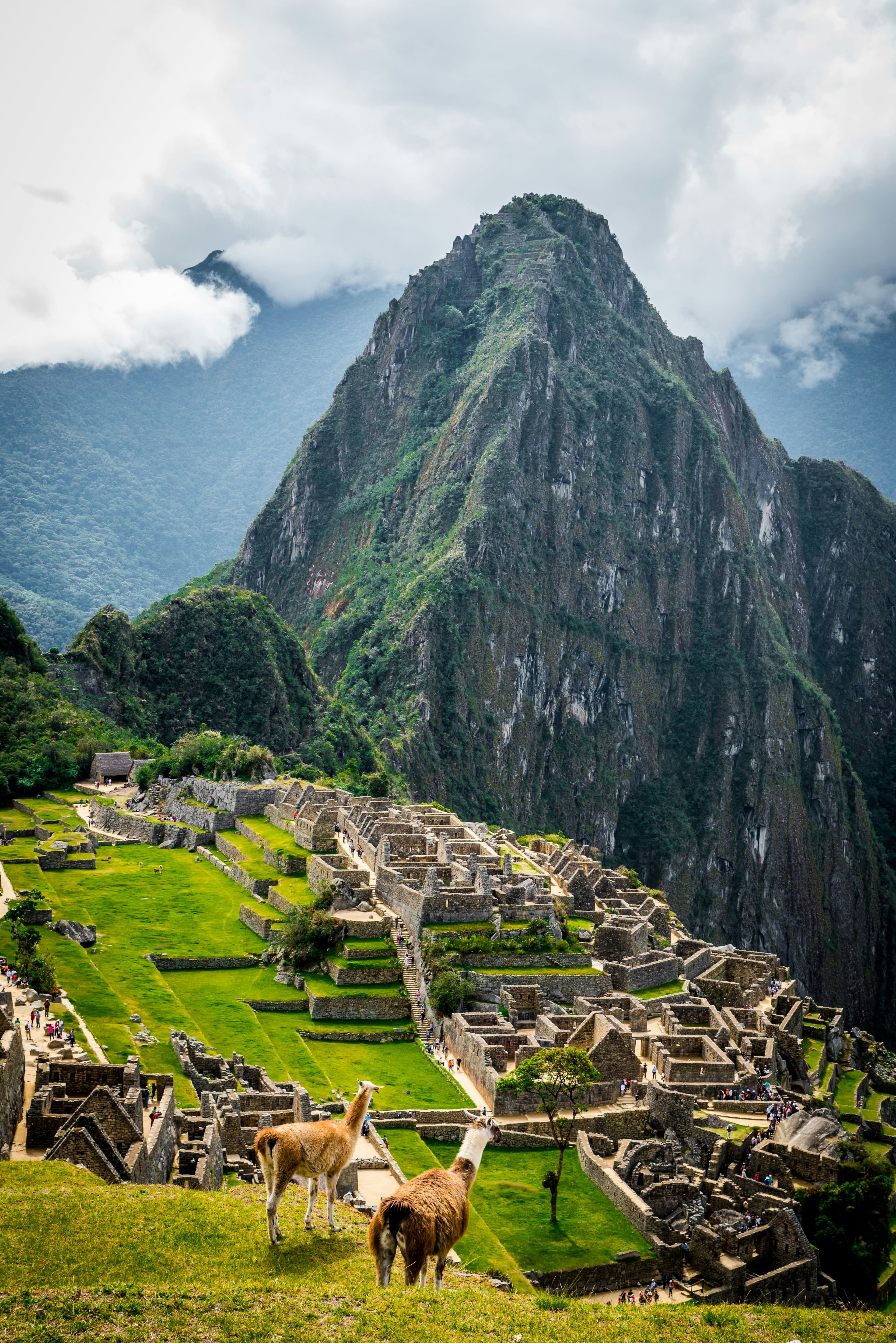 A Magical Day in Machu Picchu curated by Sureeporn Khor