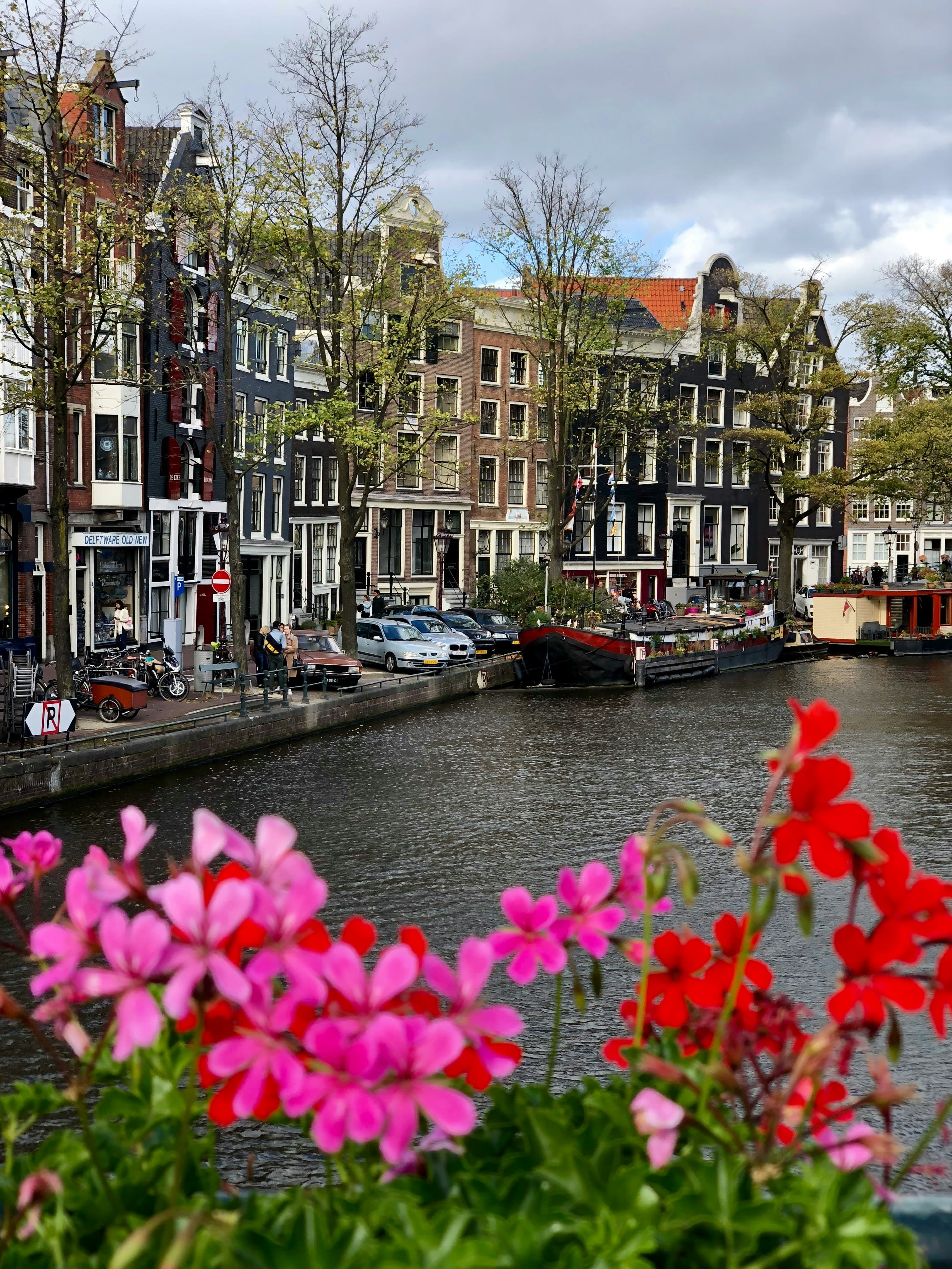 Amsterdam: An Insider's Guide to Where to Eat, Stay & Play curated by Kate Thomas