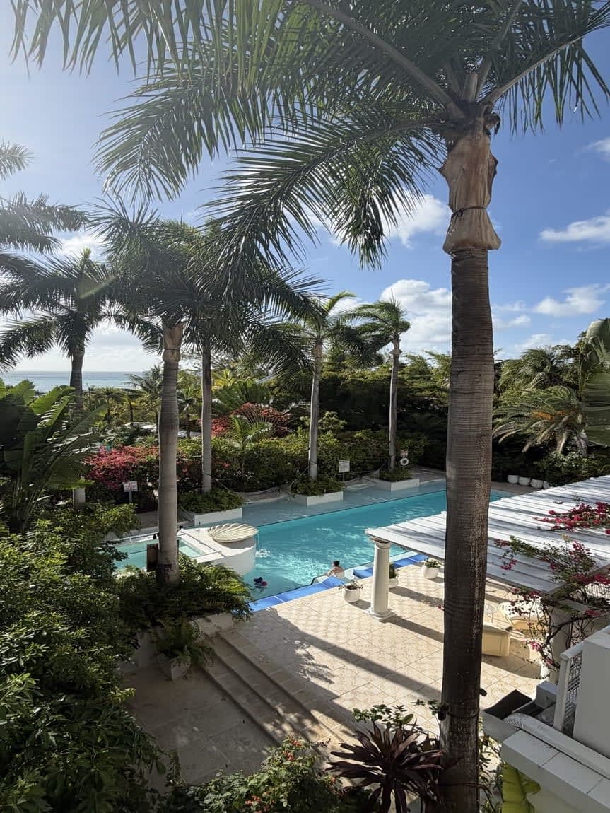Why We Keep Coming Back to Grand Cayman curated by Grace Nurre