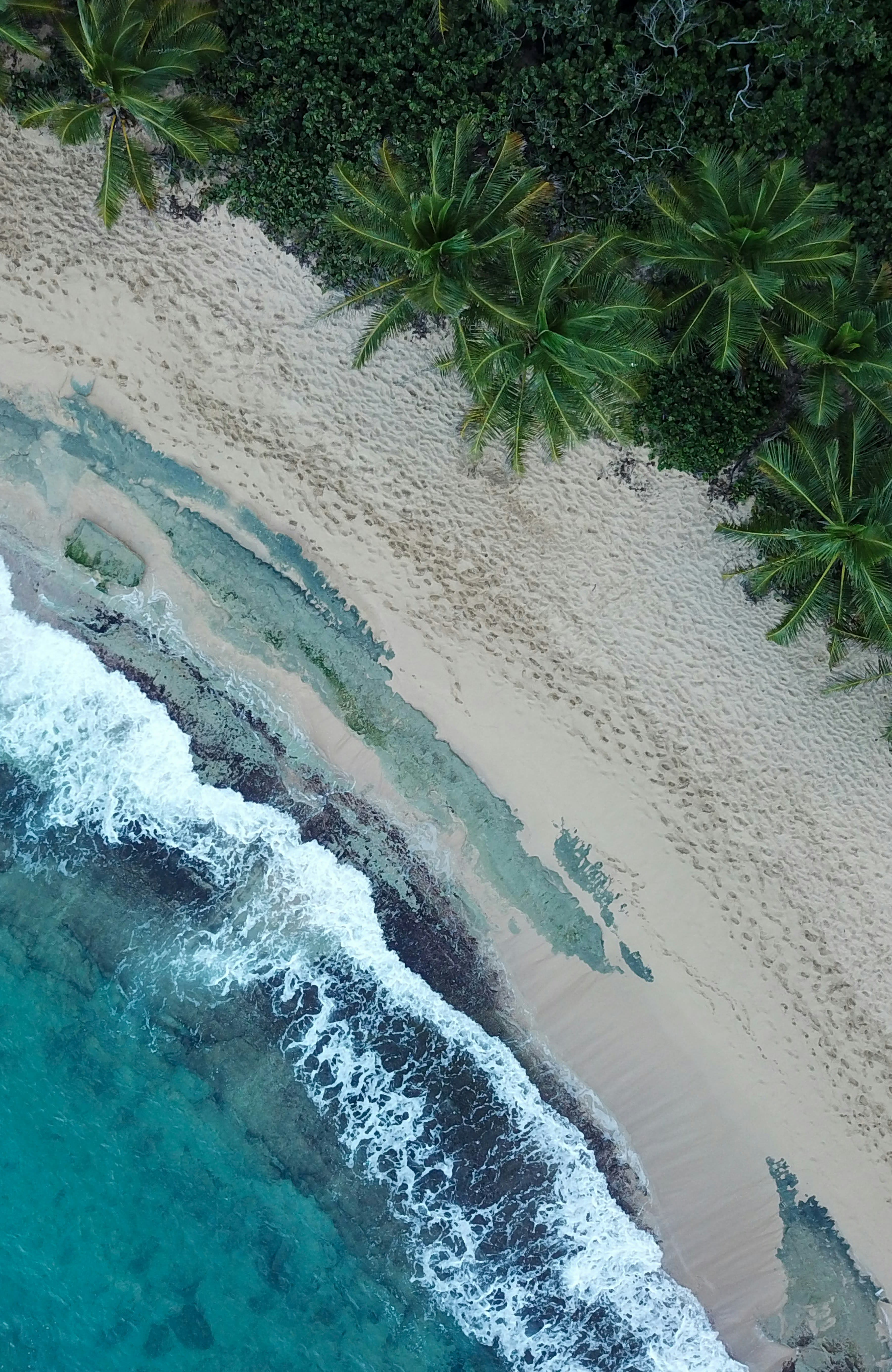 San Juan, Puerto Rico: Fairmont El San Juan Hotel, Beachfront Glam & Island Vibes curated by Jennifer Singleton