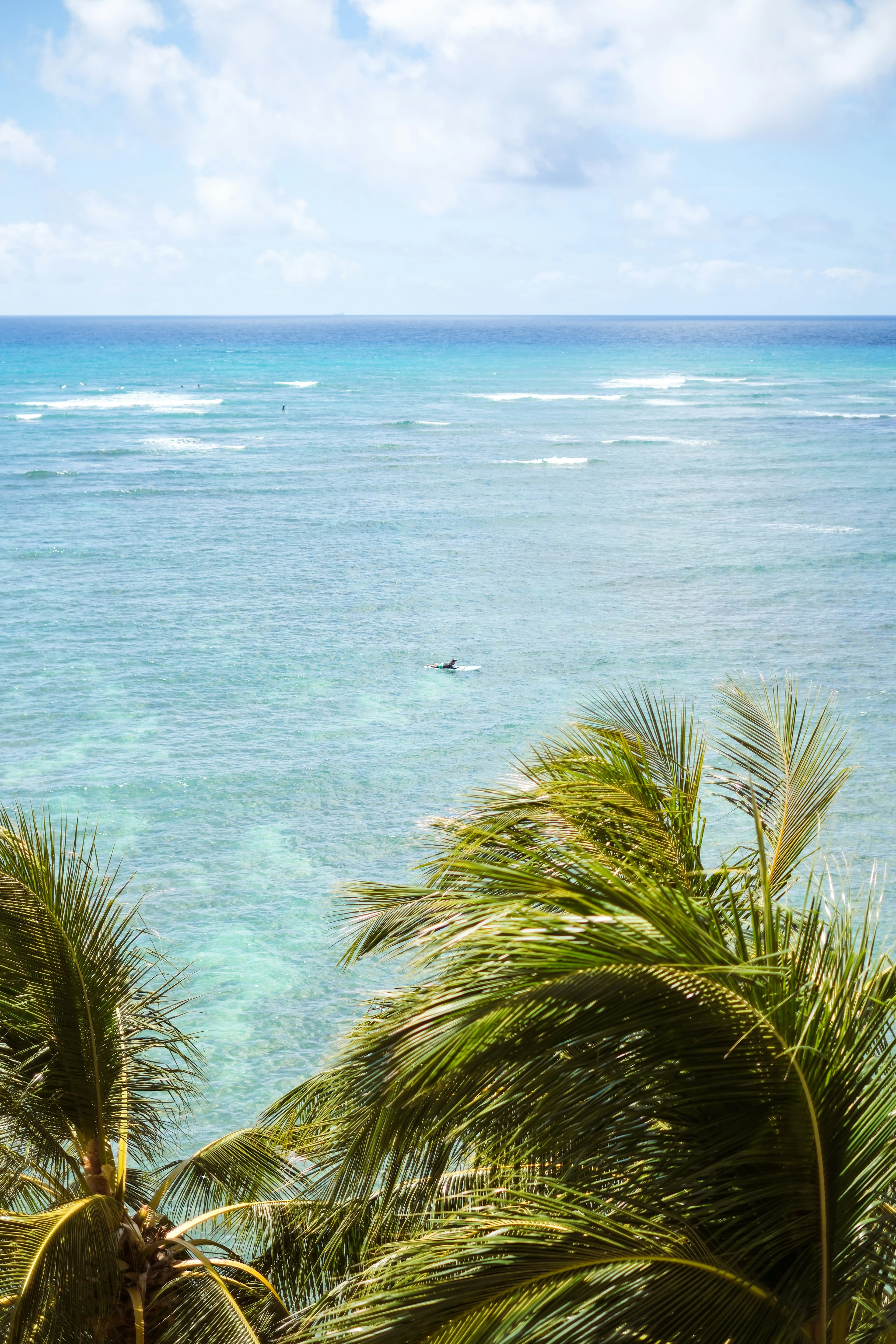 Hotel Spotlight: Paradise at the Sheraton Waikiki Hawai'i curated by Nishali Parikh