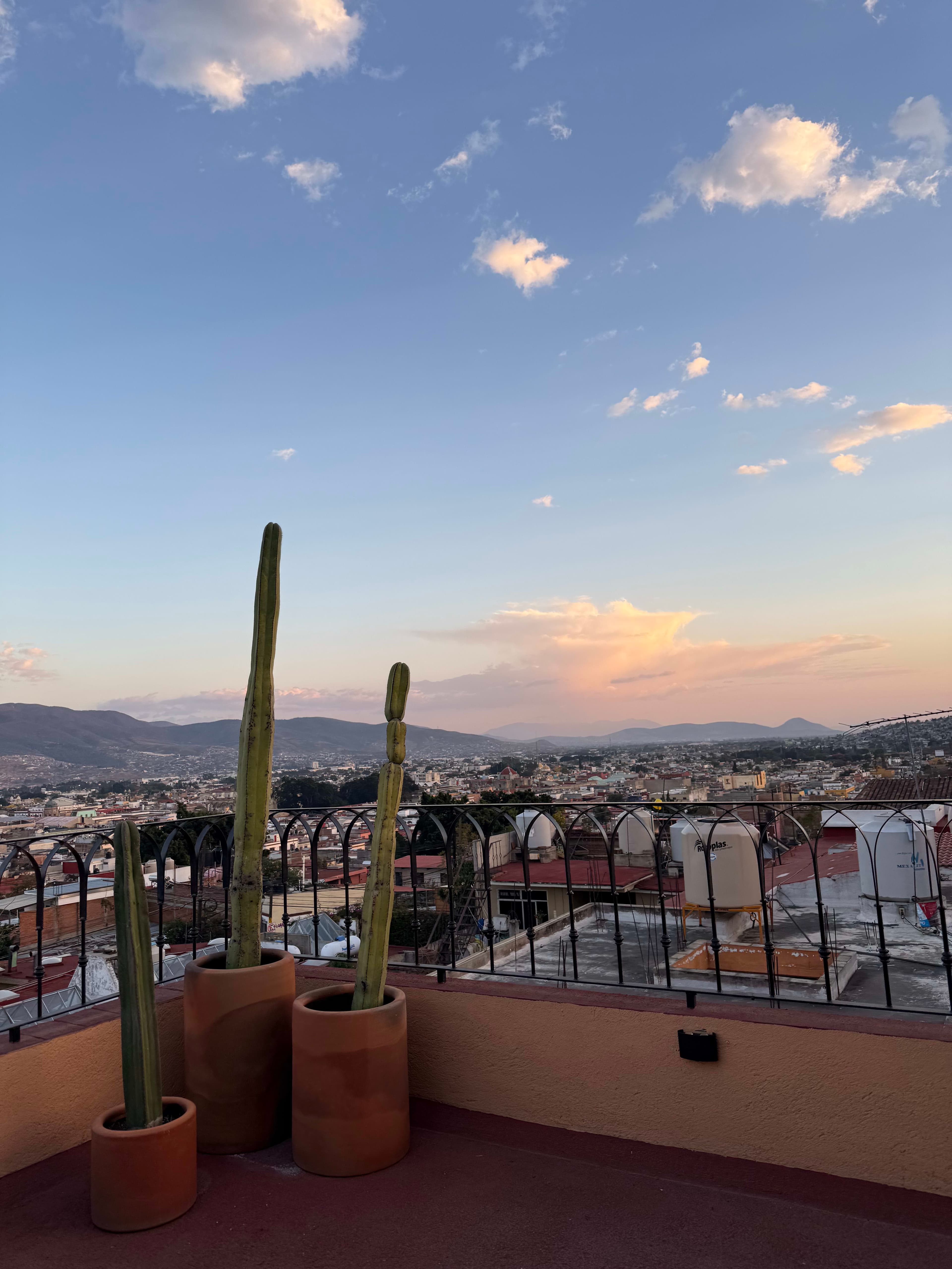Oaxaca City in 3 Days: Artisan Crafts & Unforgettable Flavors curated by Nishali Parikh