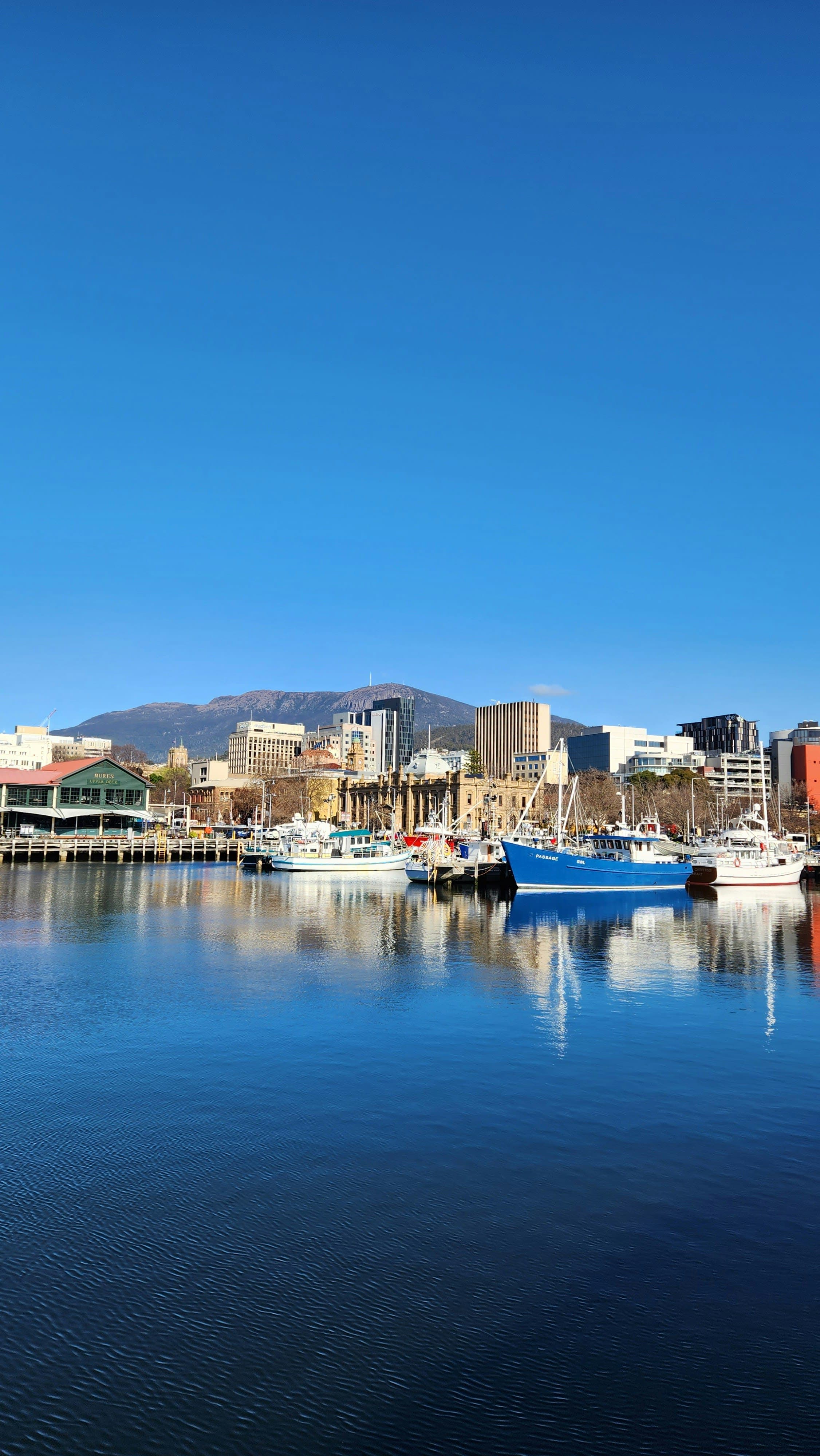 Tasmania: Our Unforgettable Adventure curated by Jessica Weymier