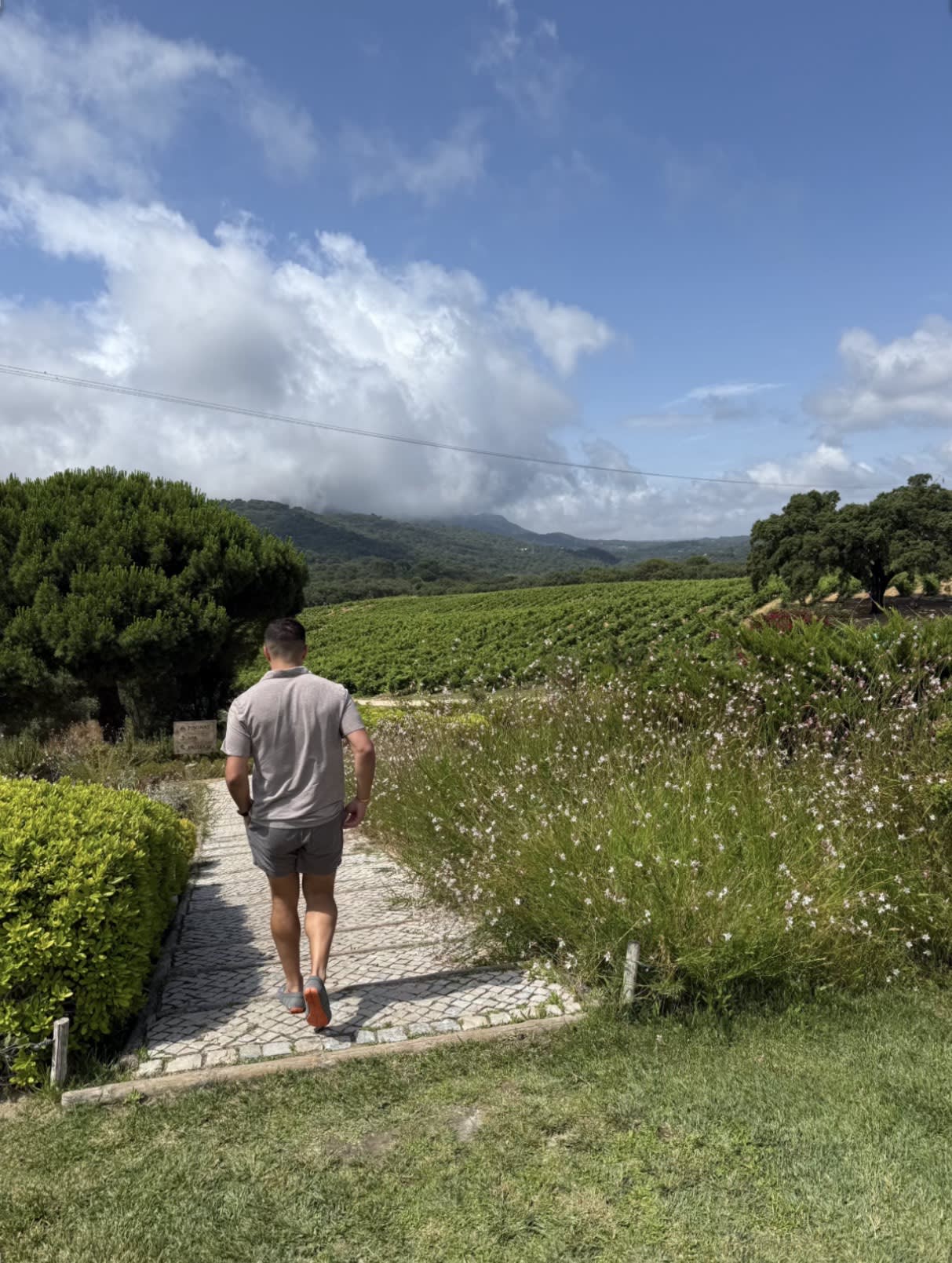 Hotel Casa Palmela: A Hidden Gem Among the Vines of Portugal curated by Brett Trager
