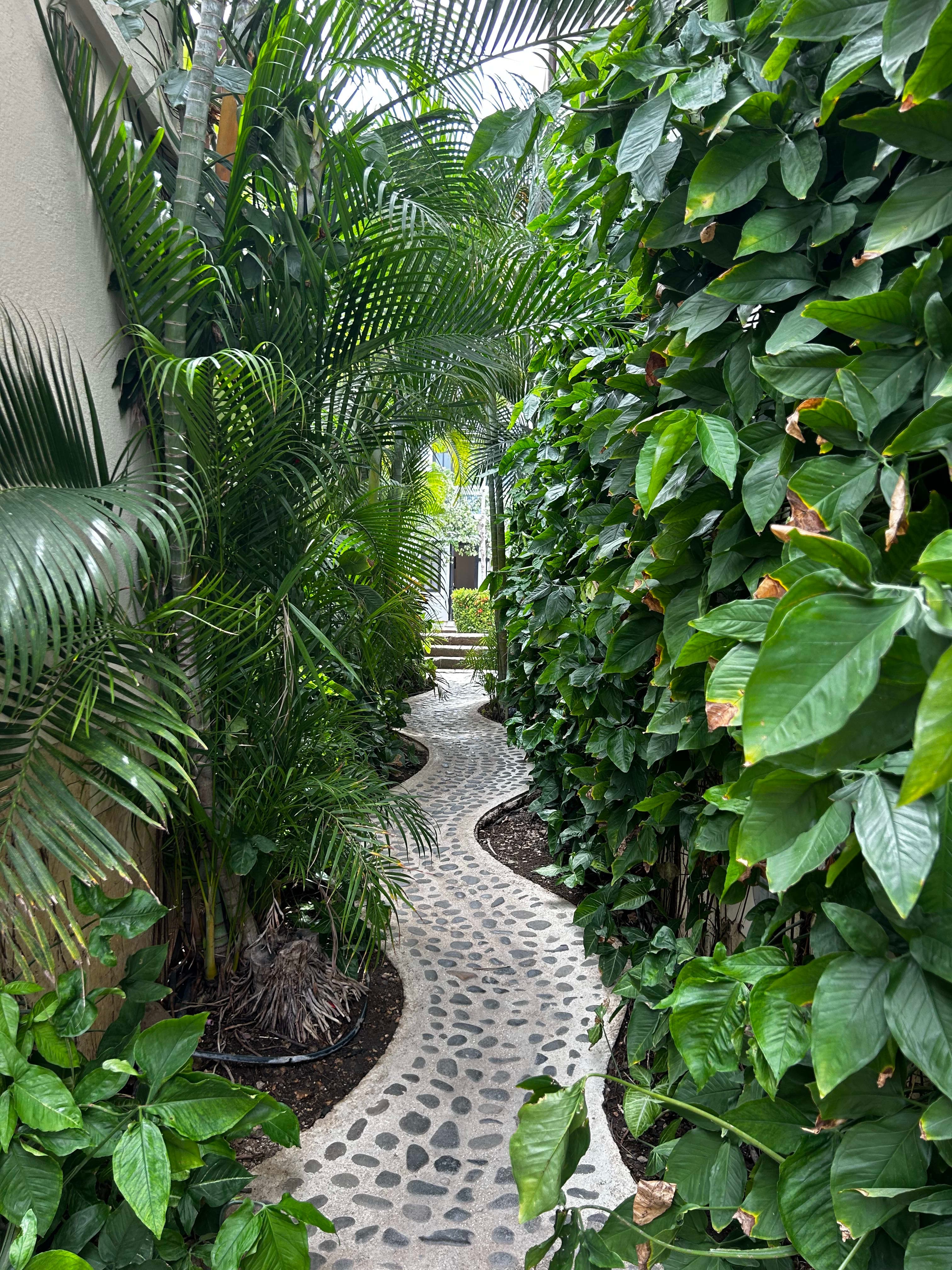 Adventurous & Romantic Escape: The Ultimate Guide to Costa Rica curated by Savanna Weis