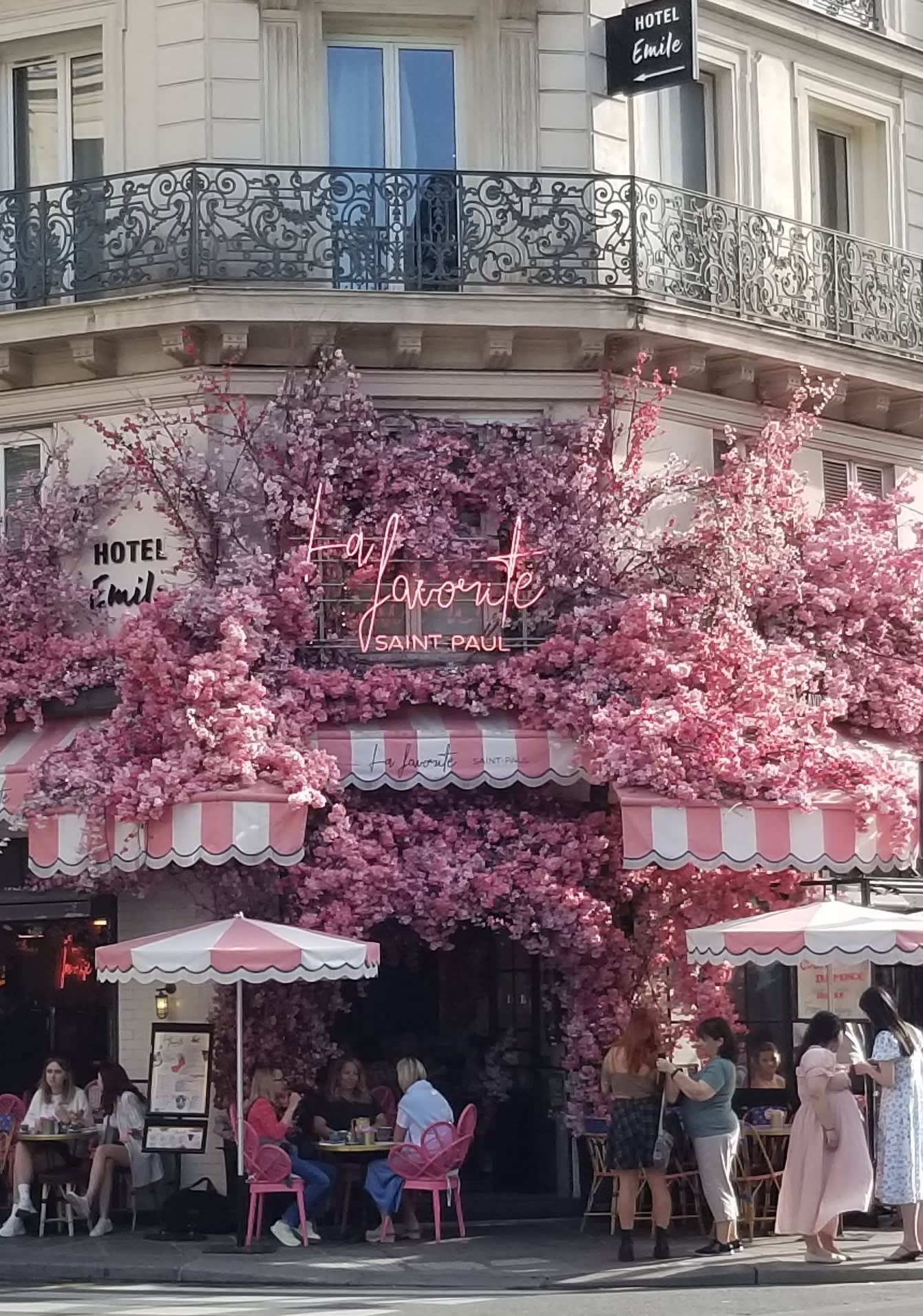 The Paris We Loved: Gardens, Pastries & Literary Treasures curated by Elyssa Jeter