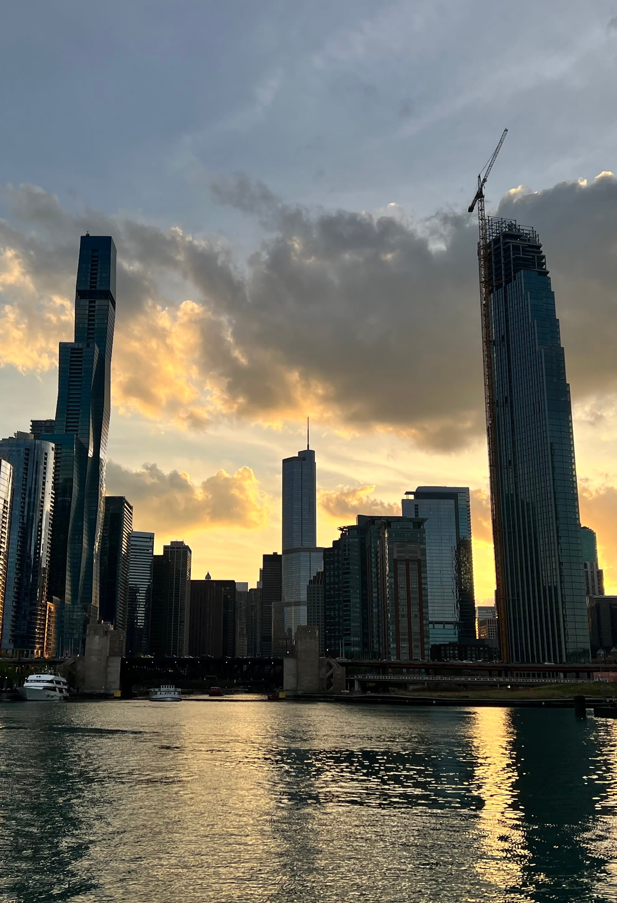 Chicago: Not Moving Here … Yet curated by Christa Nel