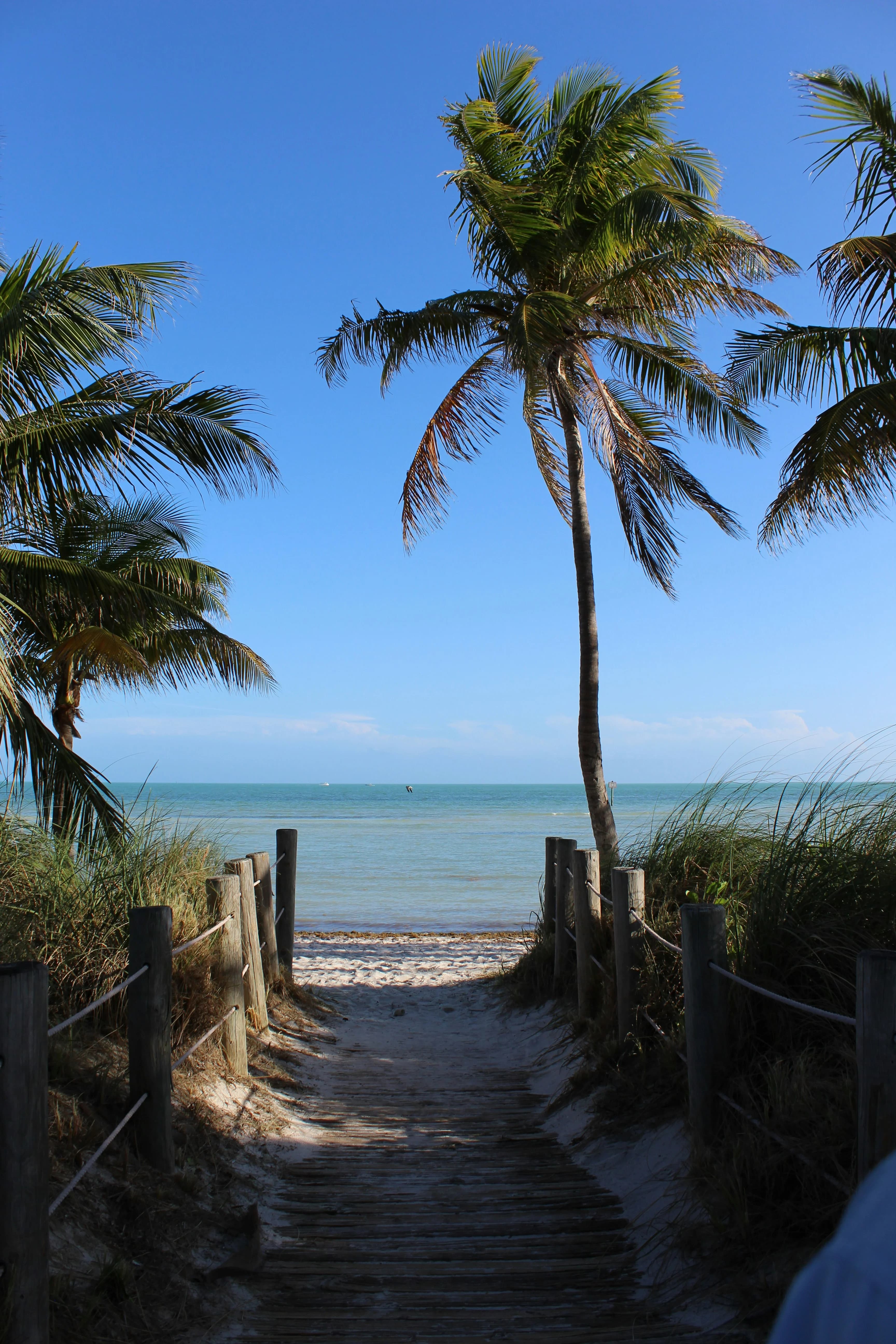 Waterfront Holidays: Key West Christmas Road Trip curated by Shari Landmark