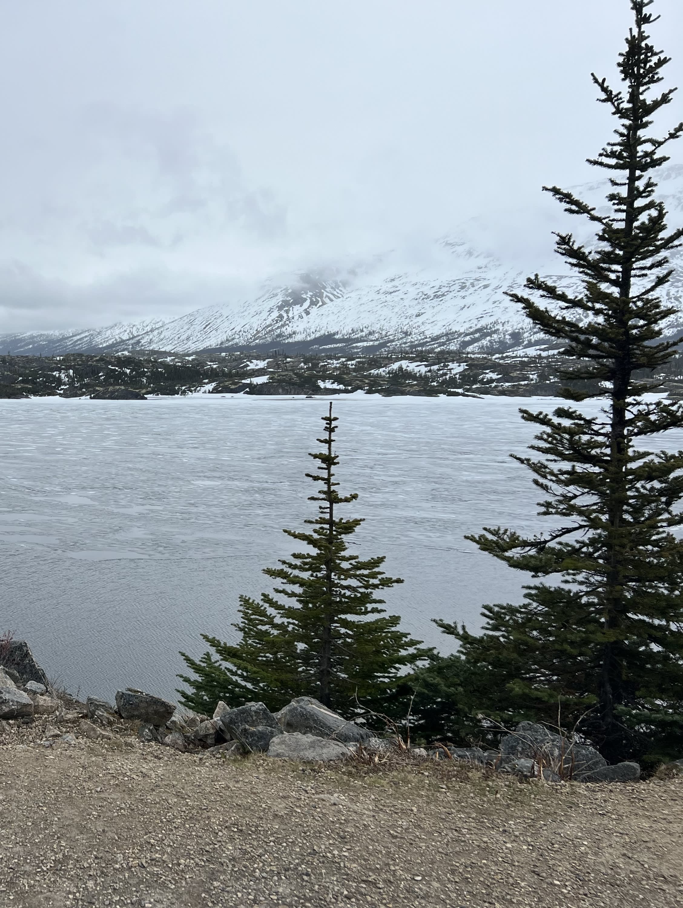Alaska Cruise on Royal Caribbean curated by Russ Fulgham