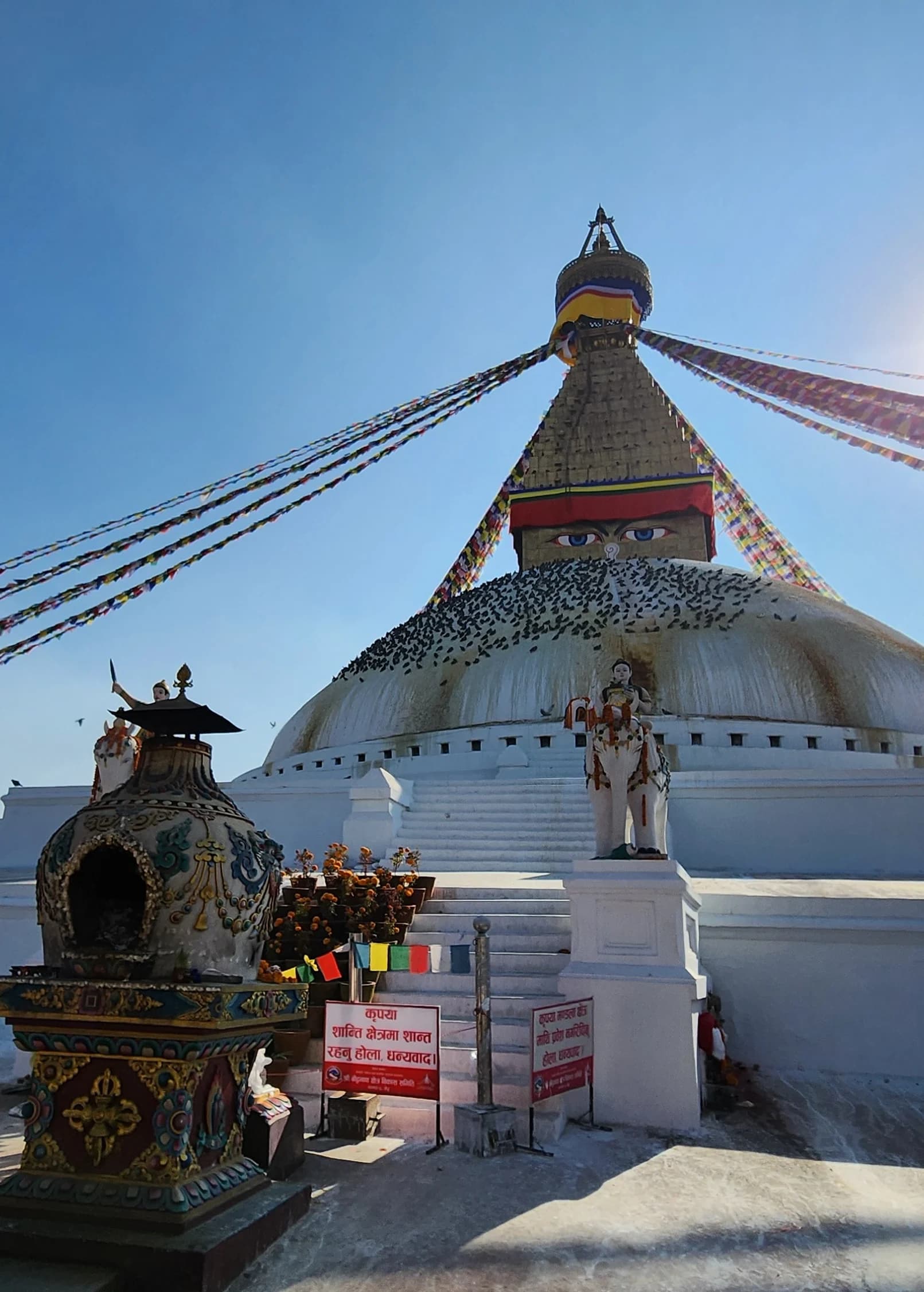 Around the World: Singapore, Kathmandu, Istanbul & Malta curated by Tony Sheng