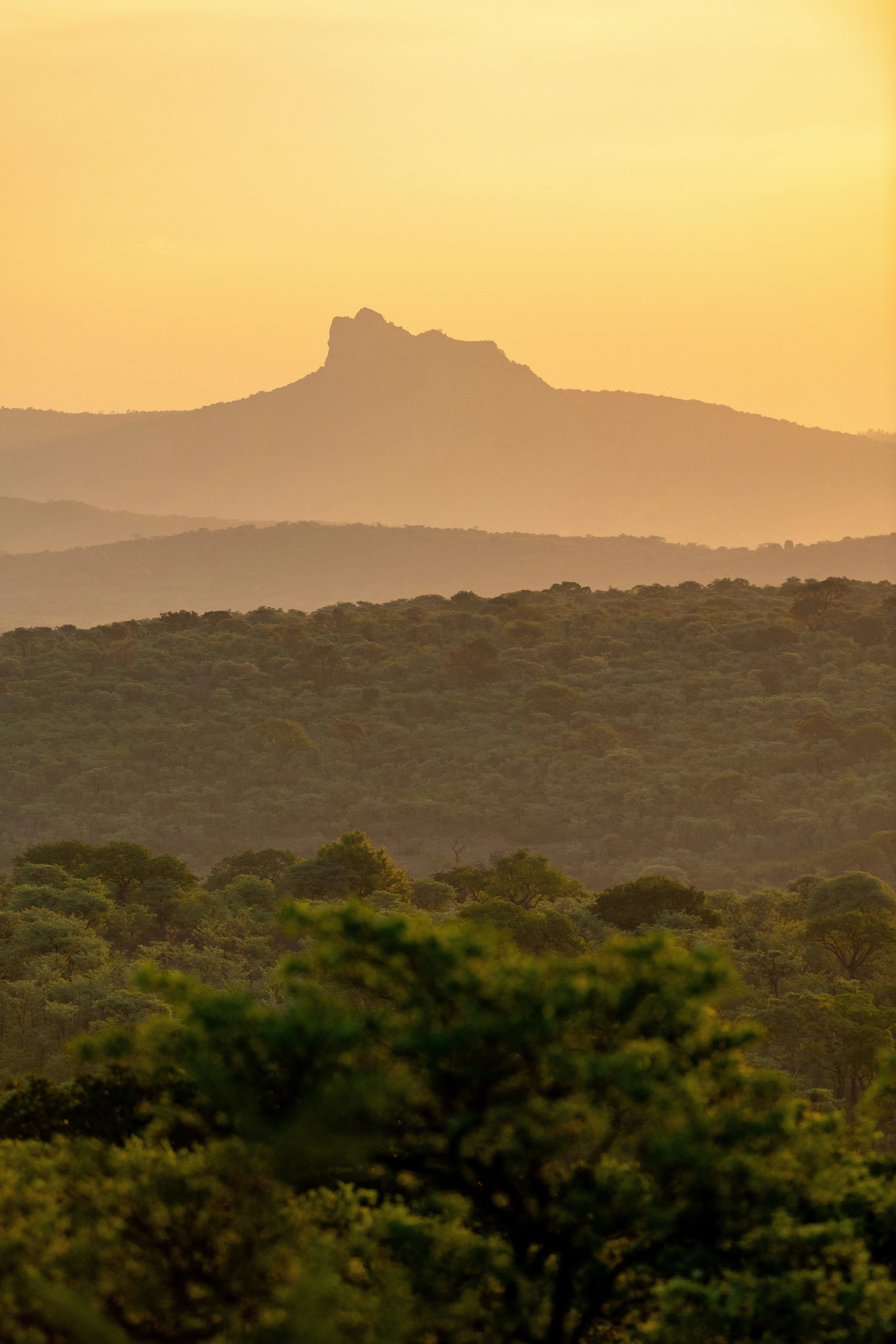 MalaMala Camp: The Ultimate South African Safari curated by Lindsey Reifel