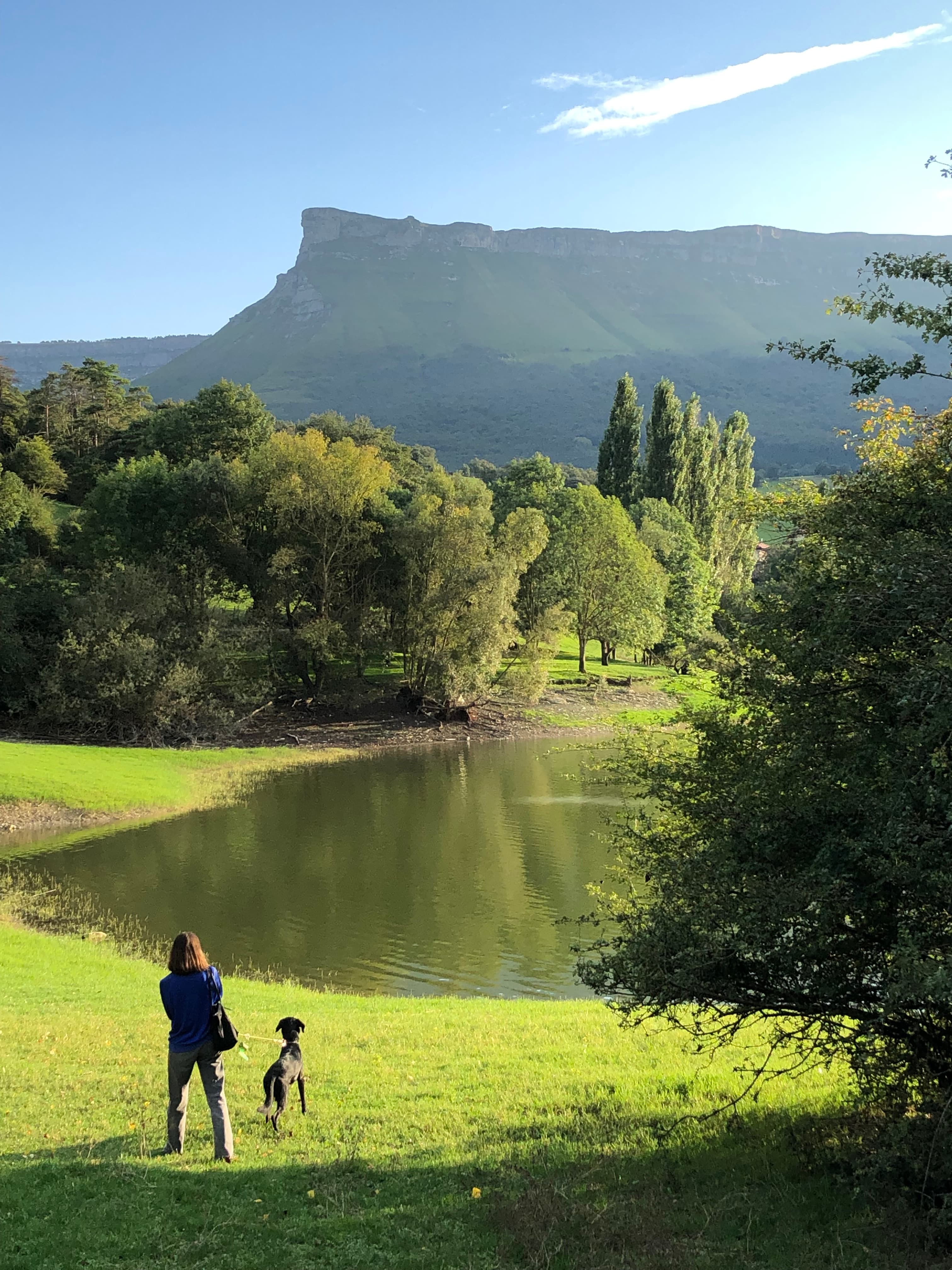A field of grass and foliage with large trees and a pond with a person posing with a dog.